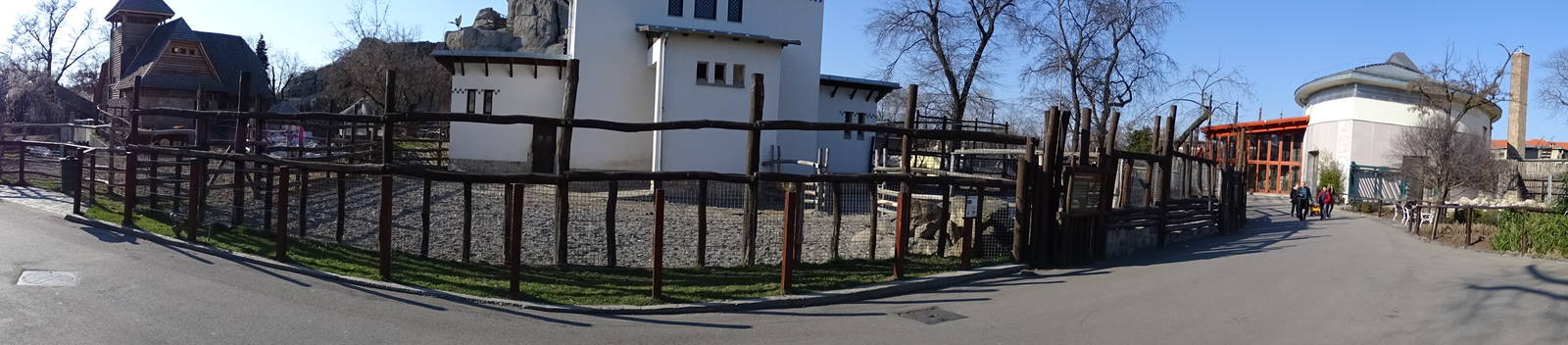 Buffalo, zebra and savannah house