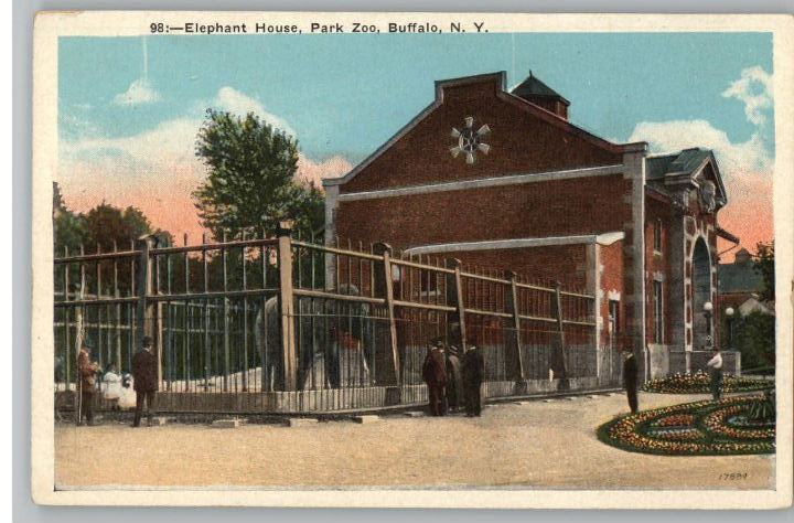 Buffalo Zoo Elephant House