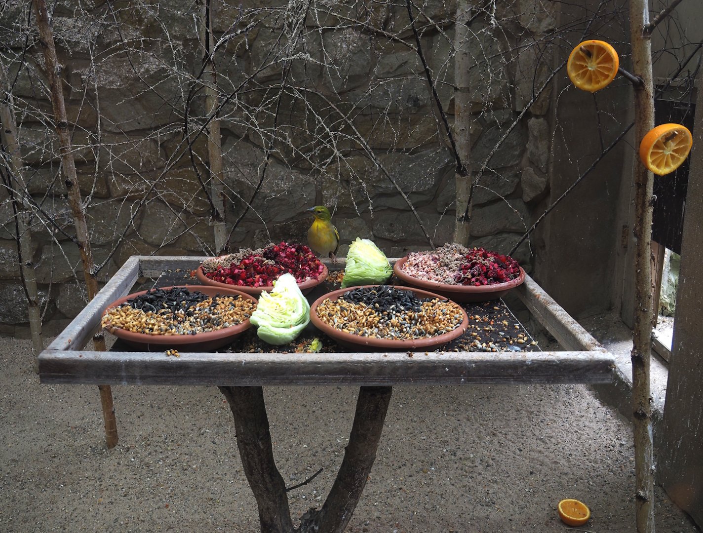 Buffet for village weavers, 2025-05-22