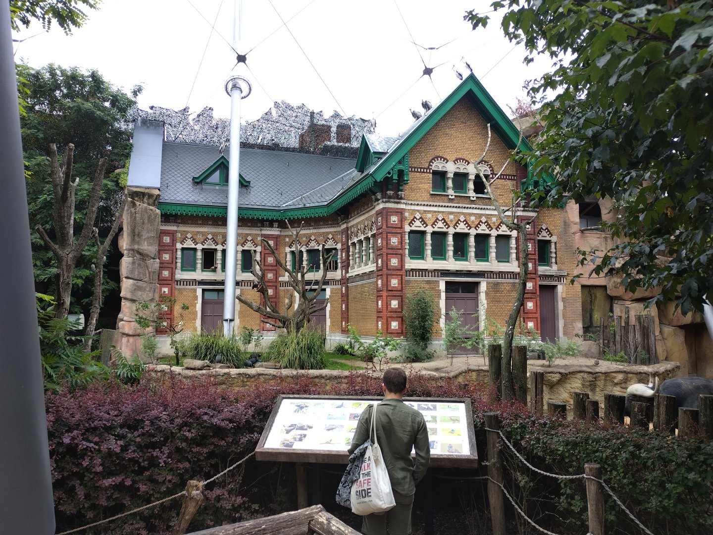 Buffo enclosure view