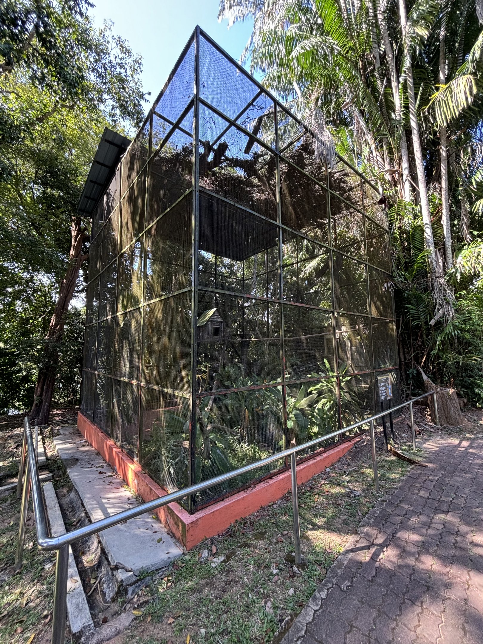 Buffy Fish Owl Aviary