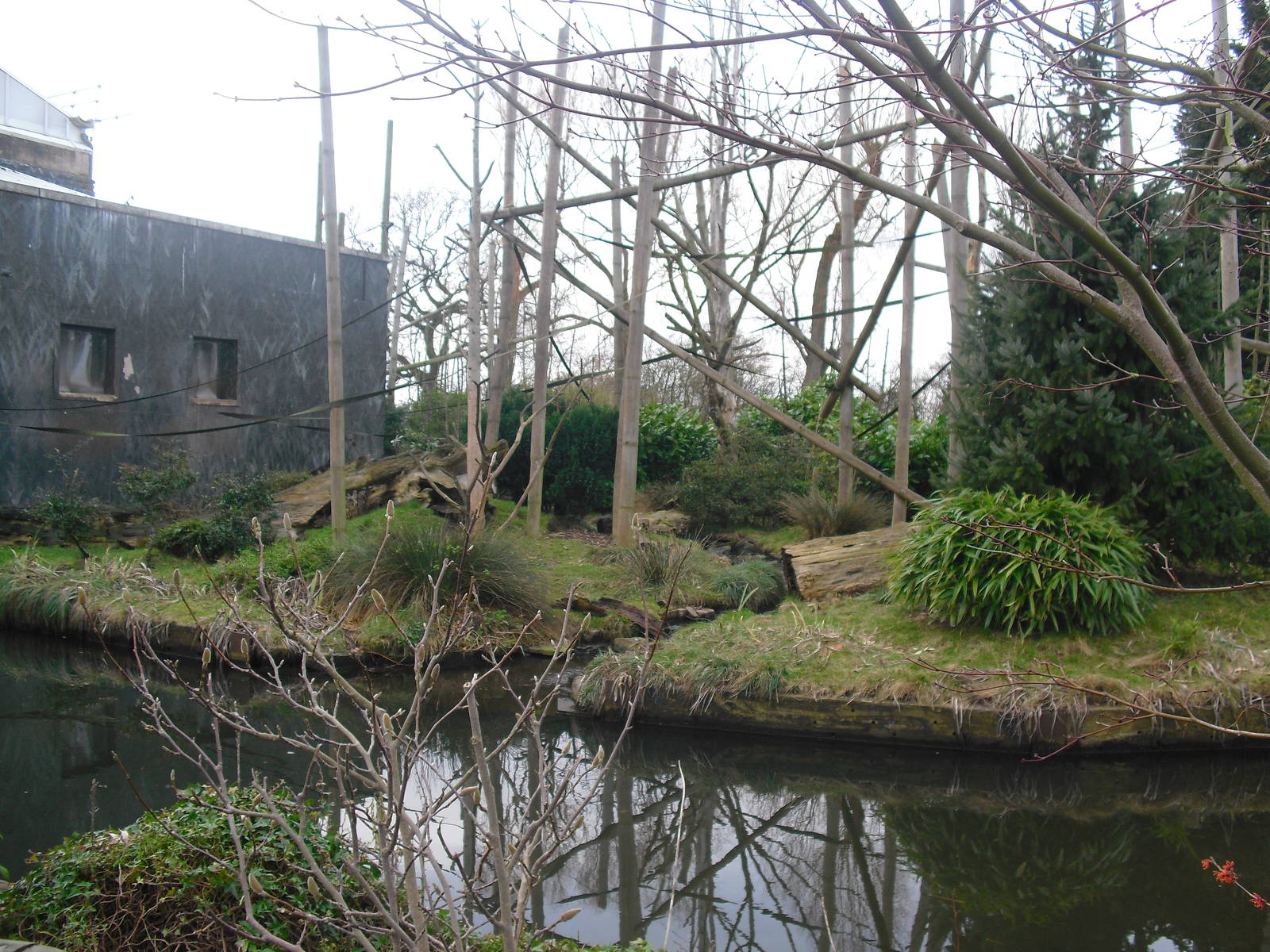 Buffy-headed Capuchin Enclosure - 06/09/2011