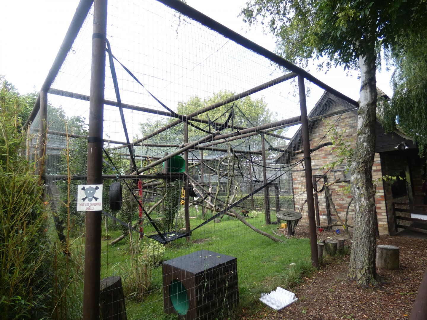 Buffy-headed Capuchin enclosure