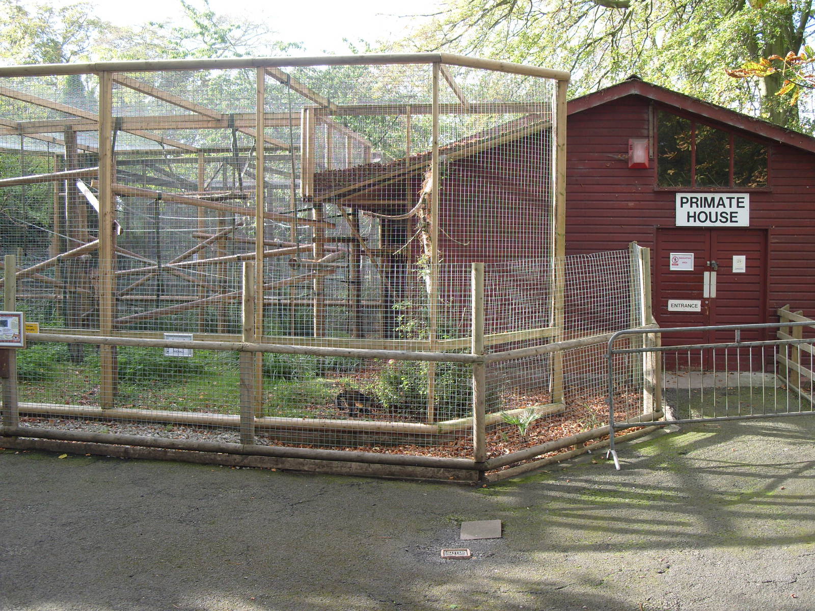 Buffy Headed Capuchin Quaratine Enlosure