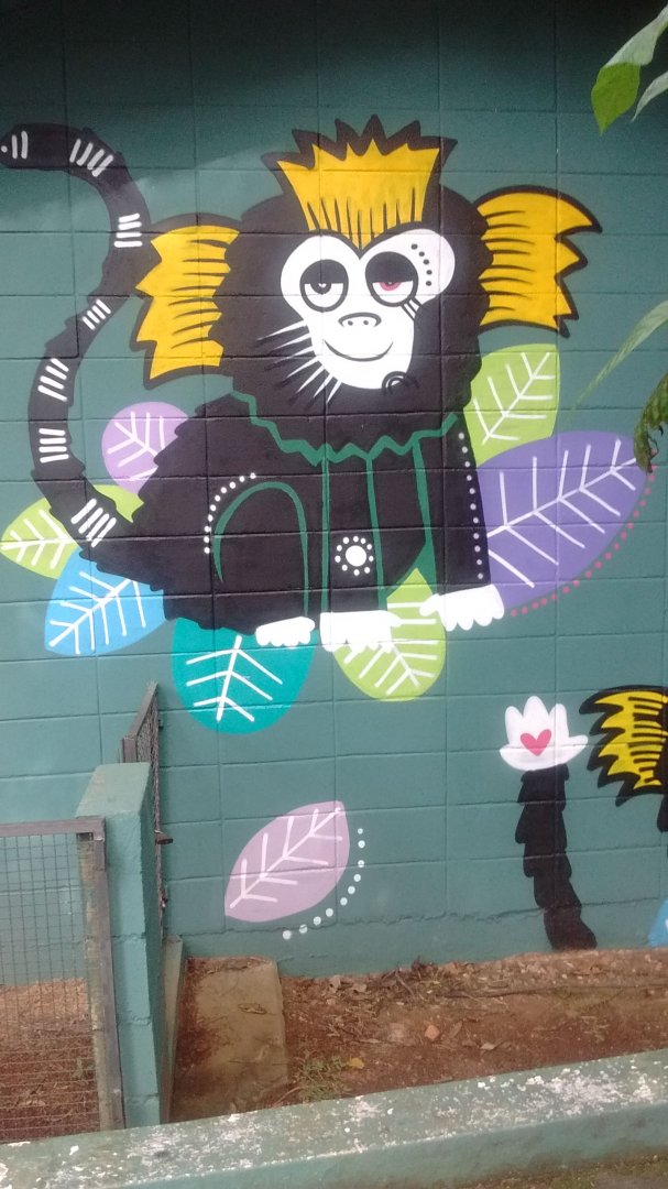 Buffy tufted marmoset mural / art