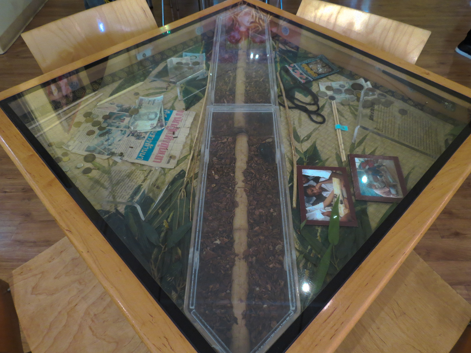 Bug Appetit - Cafe Table with Atlas Beetle Exhibit