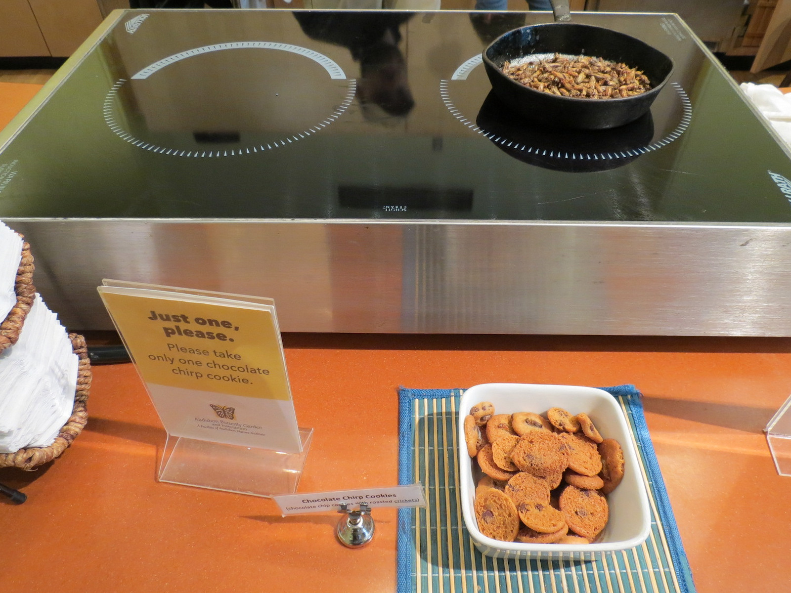 Bug Appetit - Edible Insect Samples