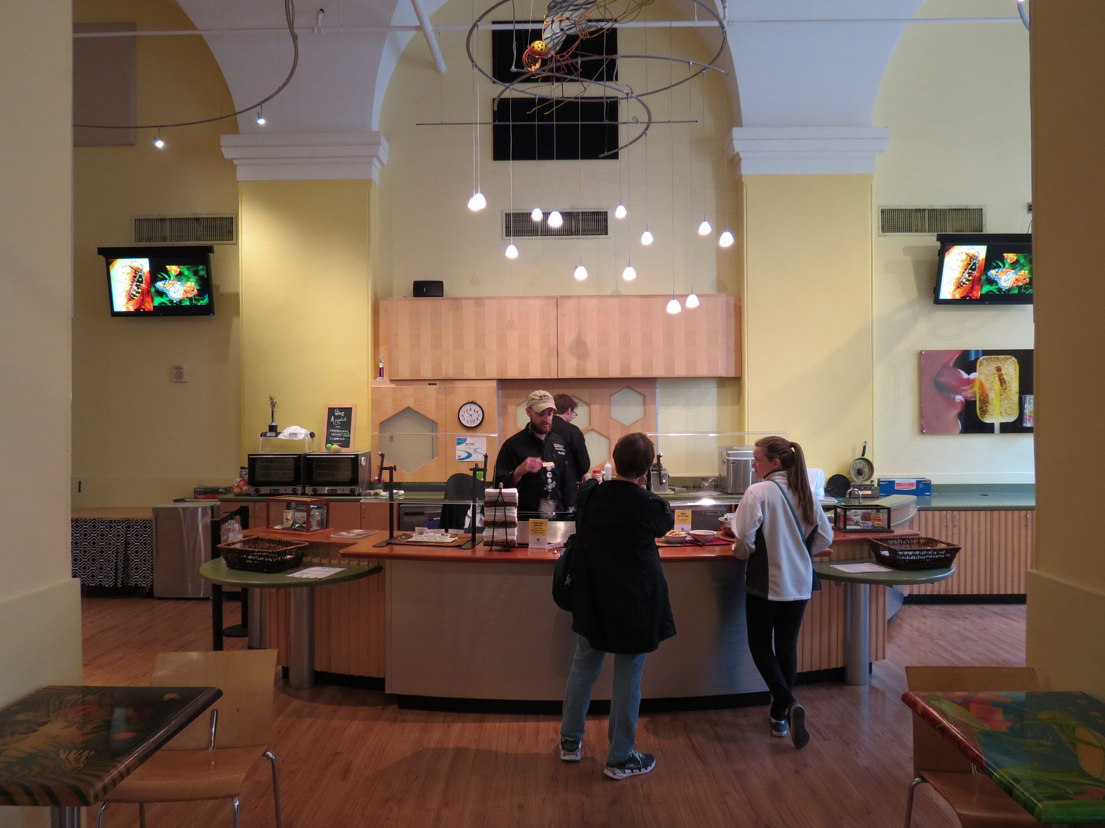 Bug Appetit - Kitchen Counter for Edible Insect Samples