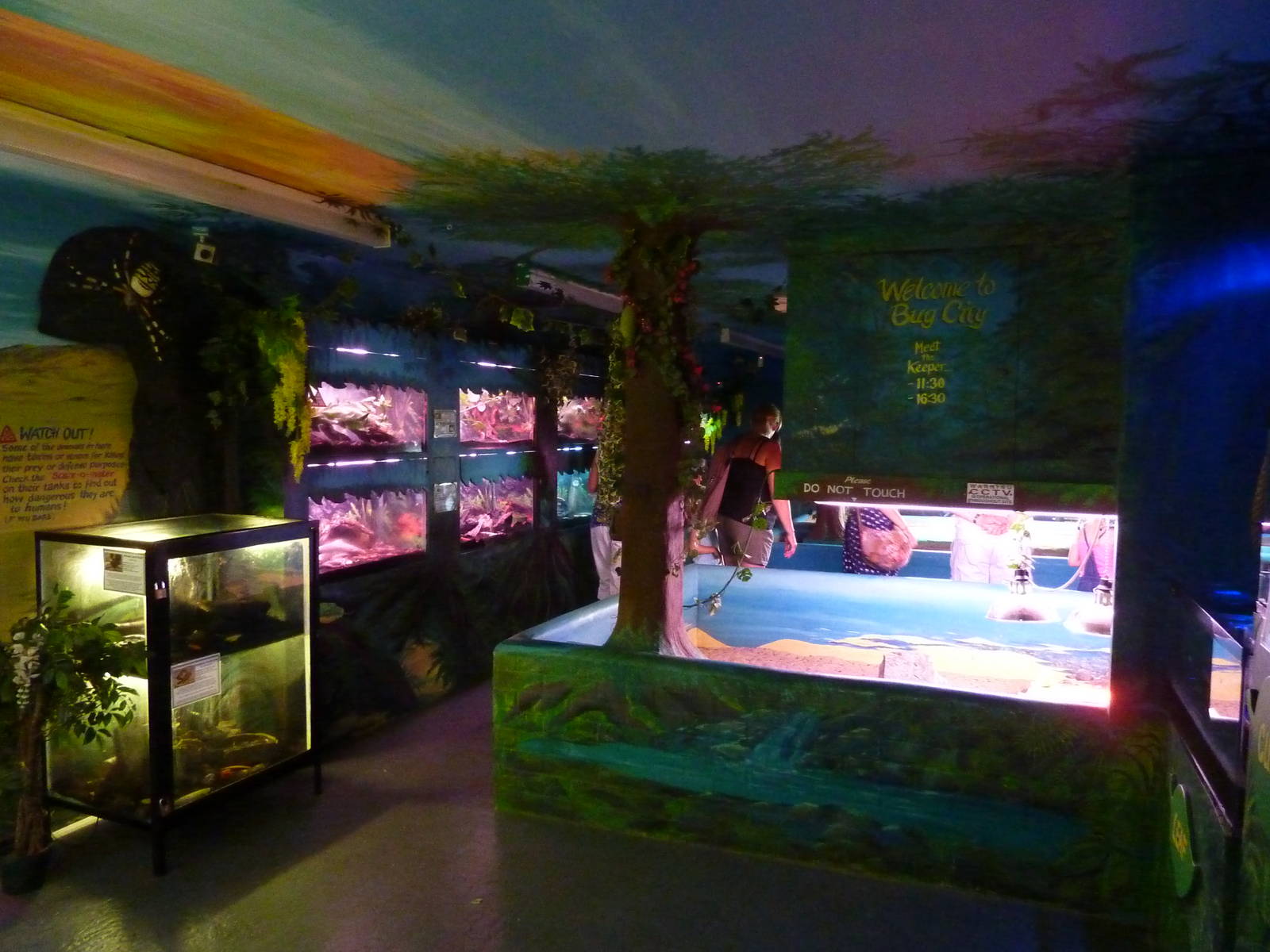 Bug City - 20th August 2012