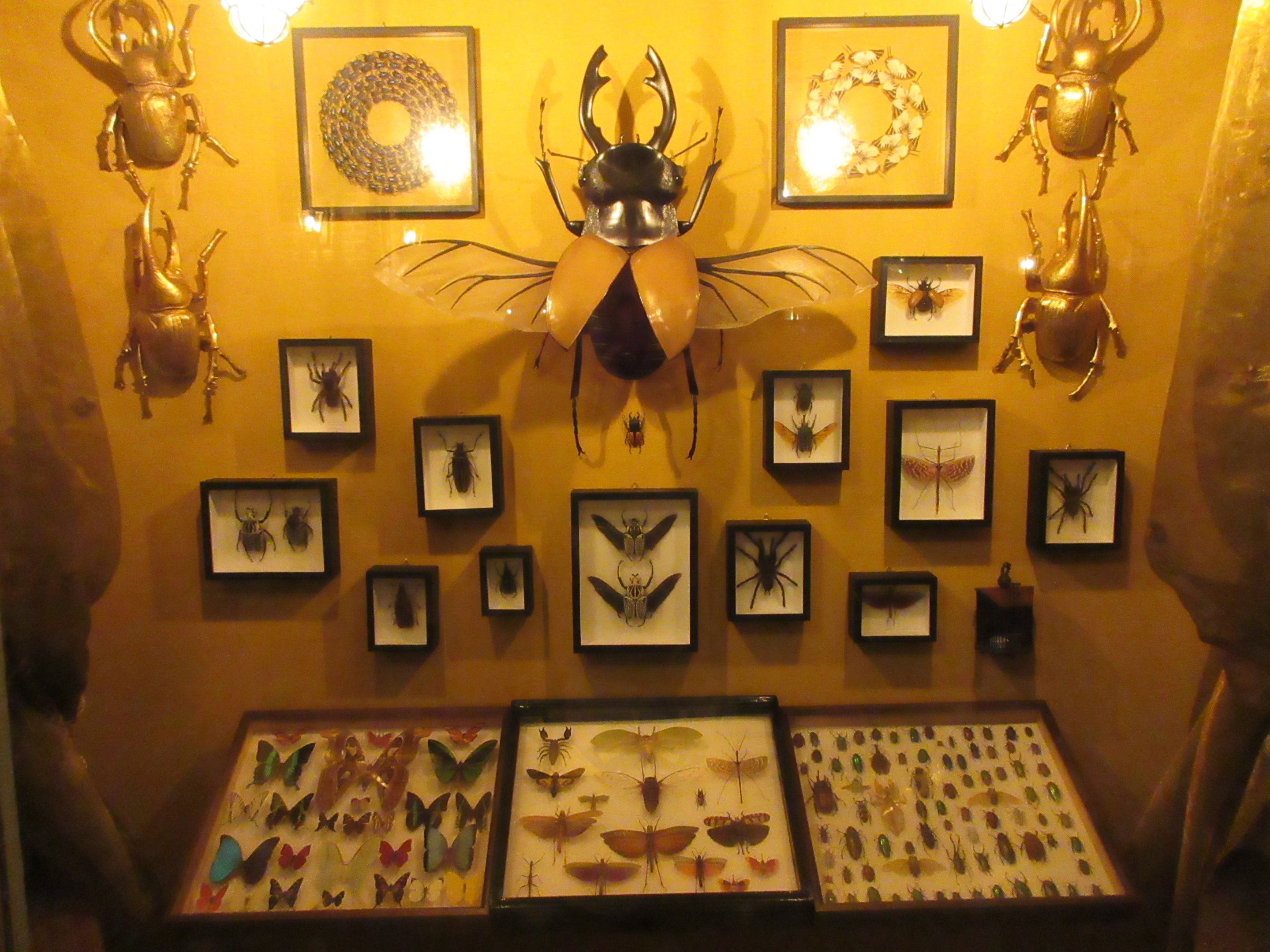 Bug Collection