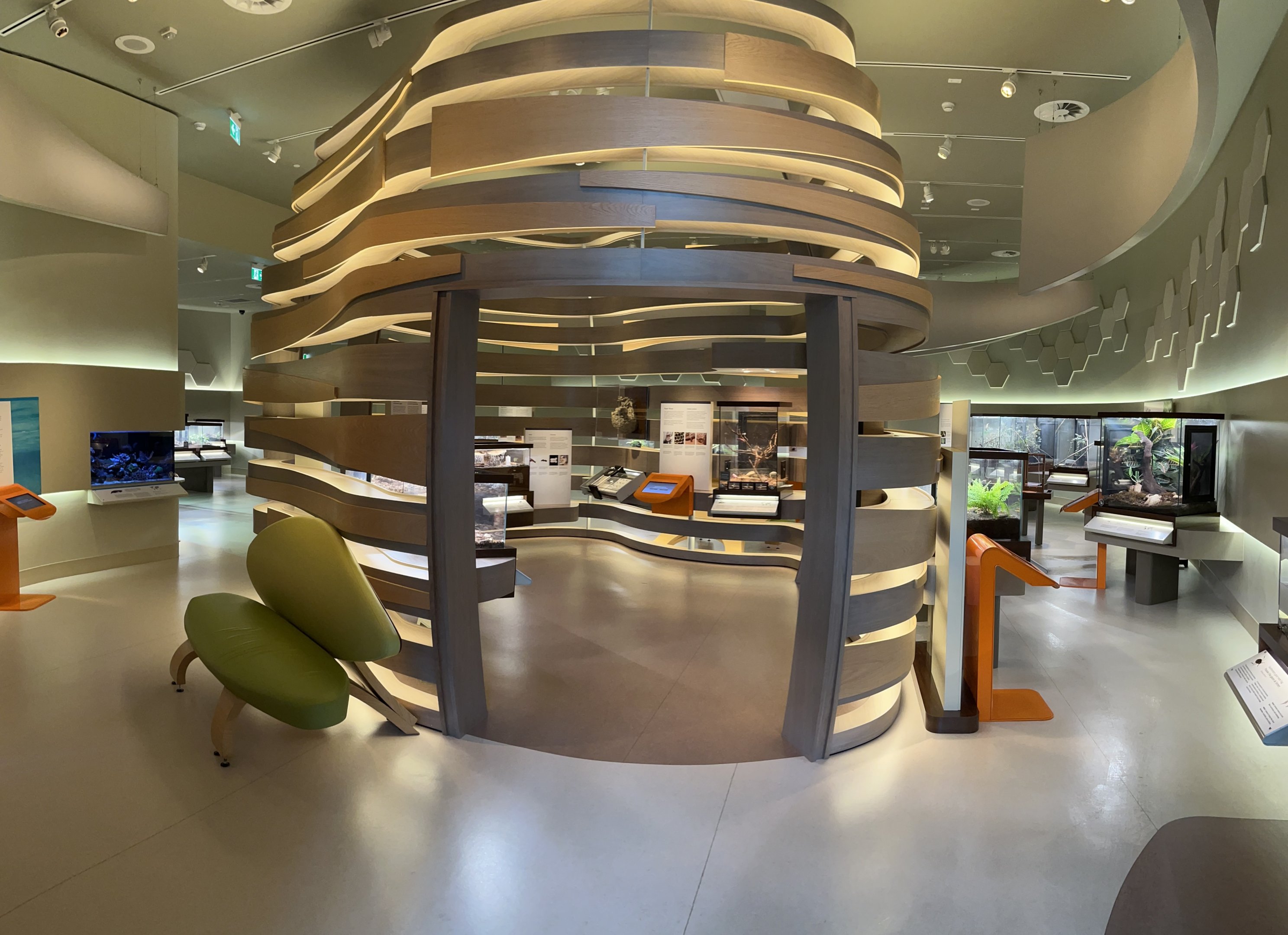 Bug Gallery - 40 exhibits