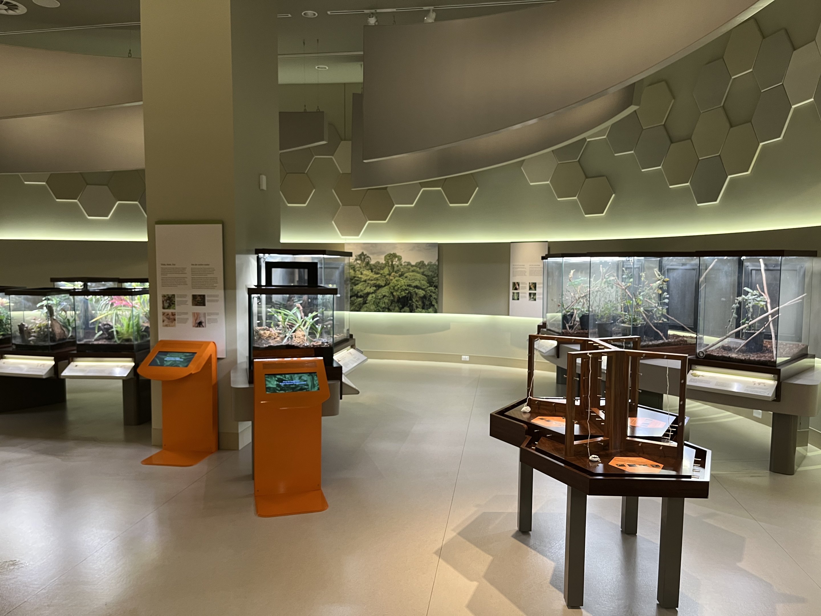 Bug Gallery - 40 exhibits