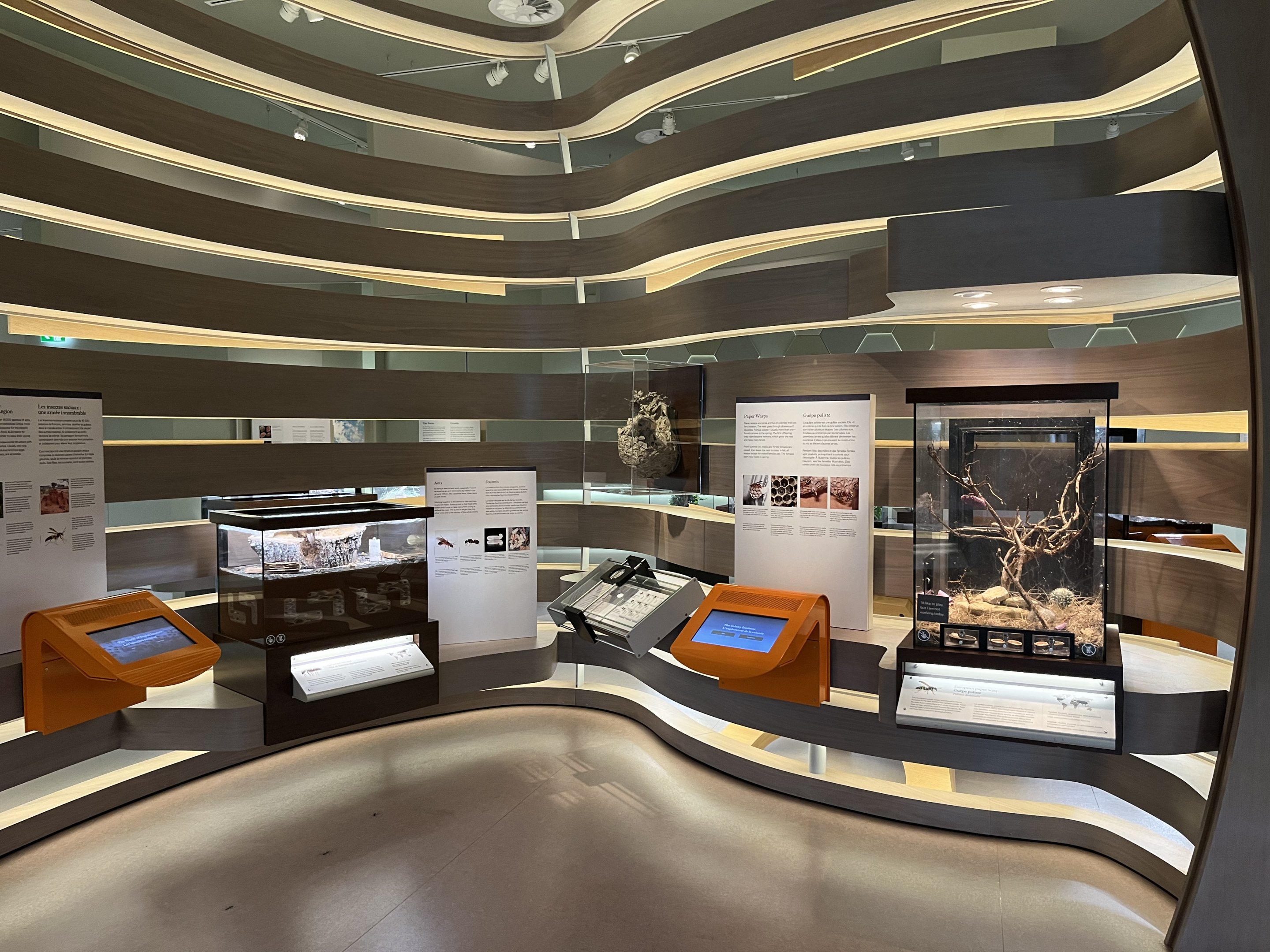 Bug Gallery - 40 exhibits