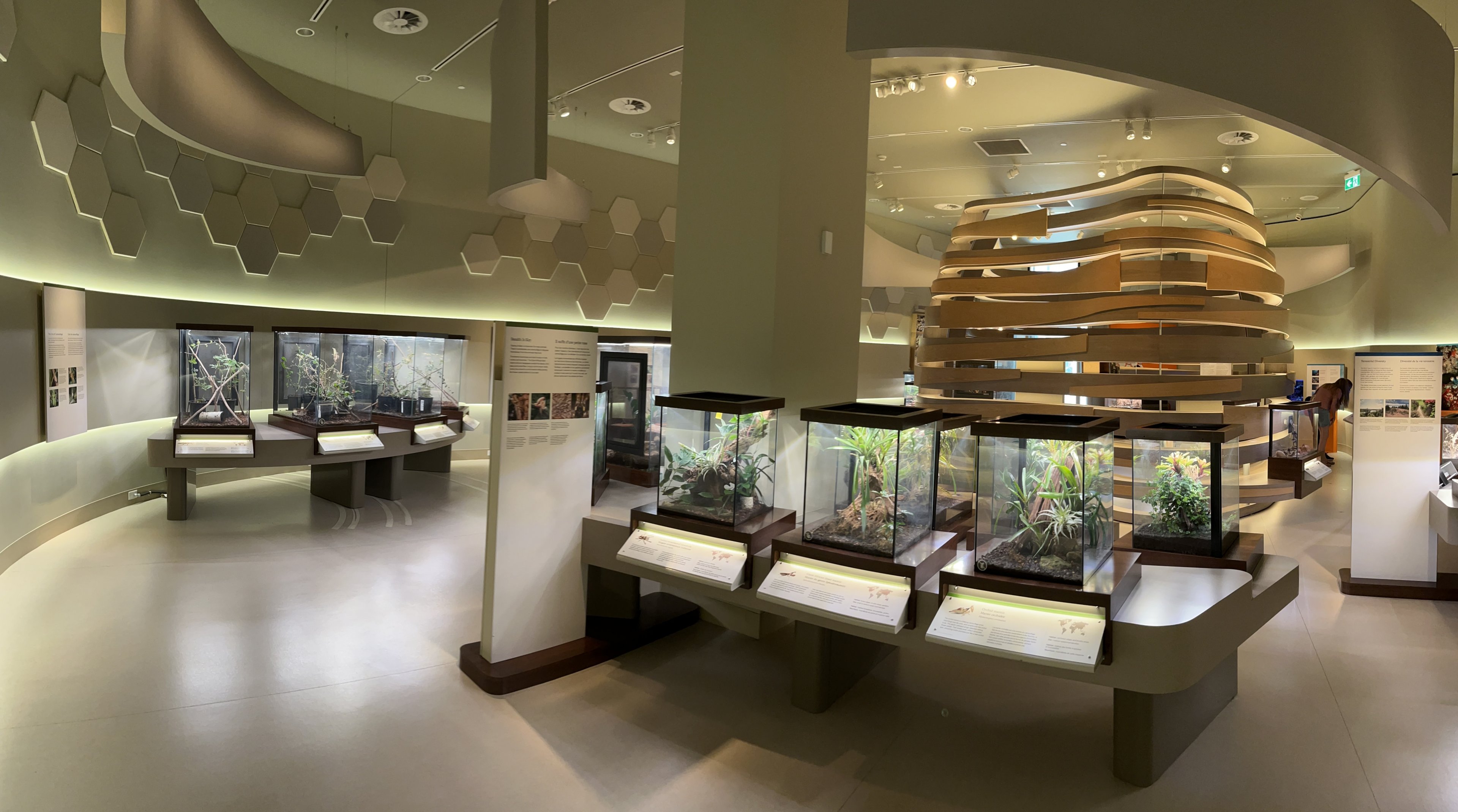 Bug Gallery - 40 exhibits