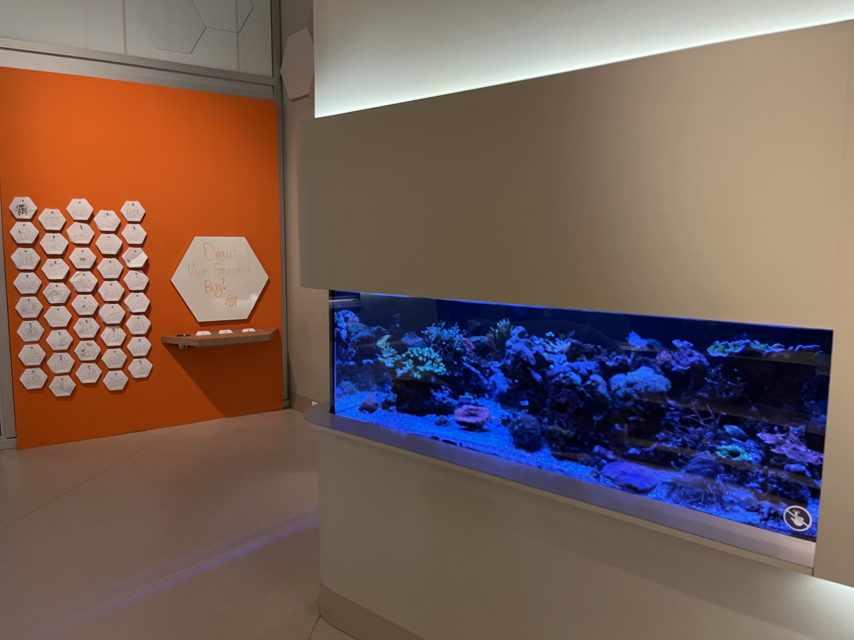 Bug Gallery - Coral Reef Tank