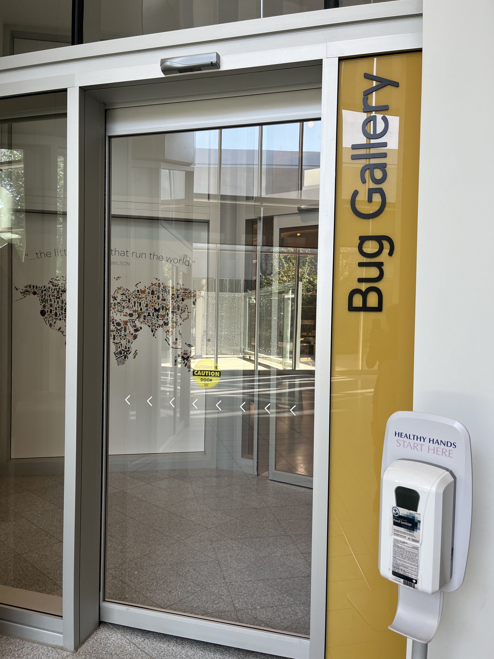 Bug Gallery - Entrance