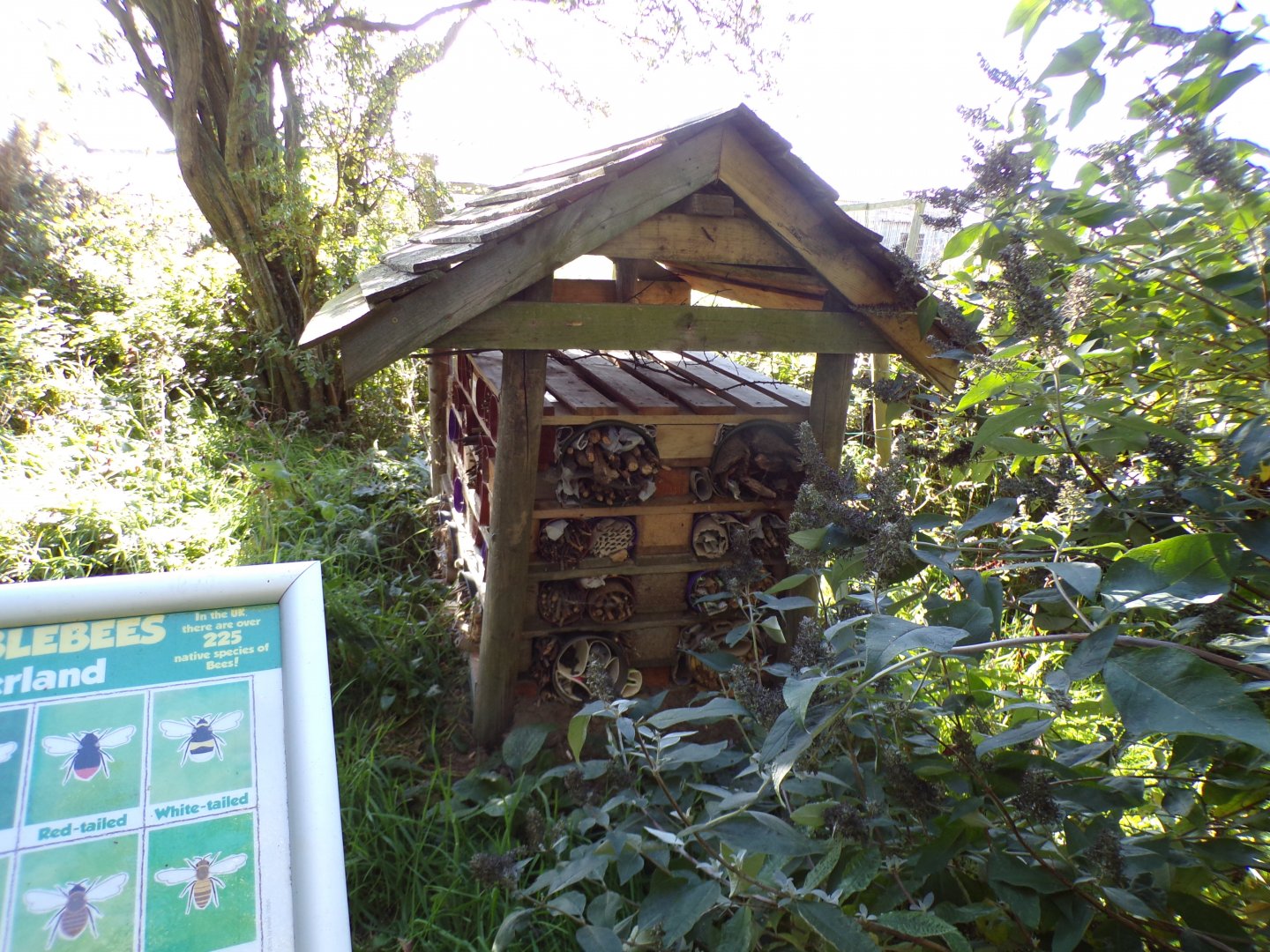 Bug hotel 14.10.23