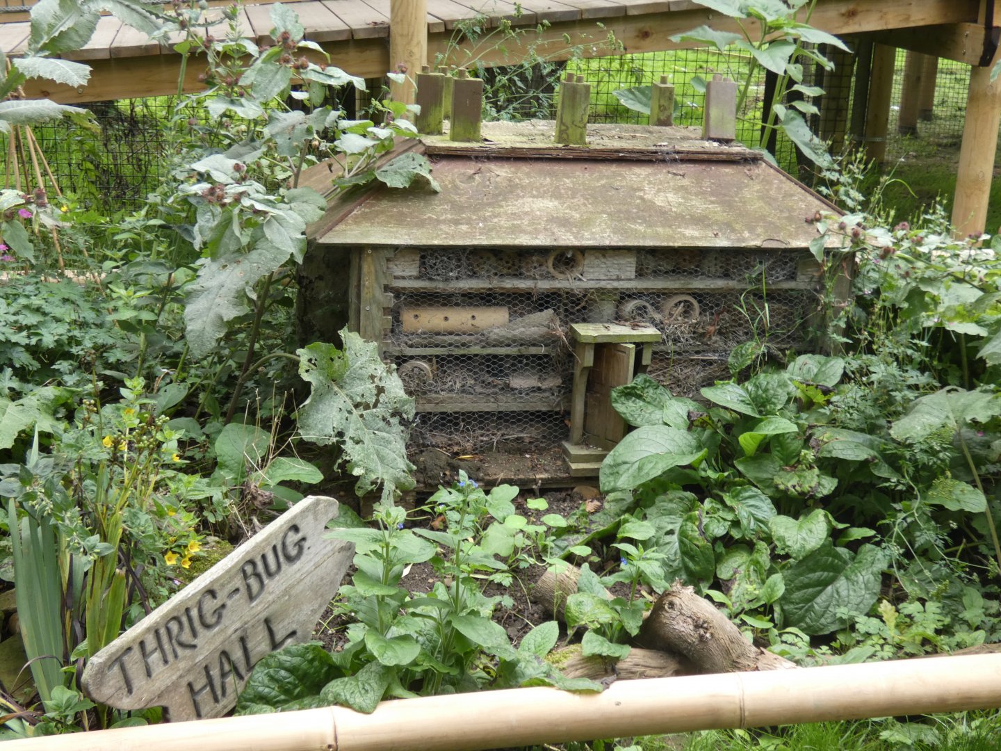 Bug hotel of Thrigby Hall