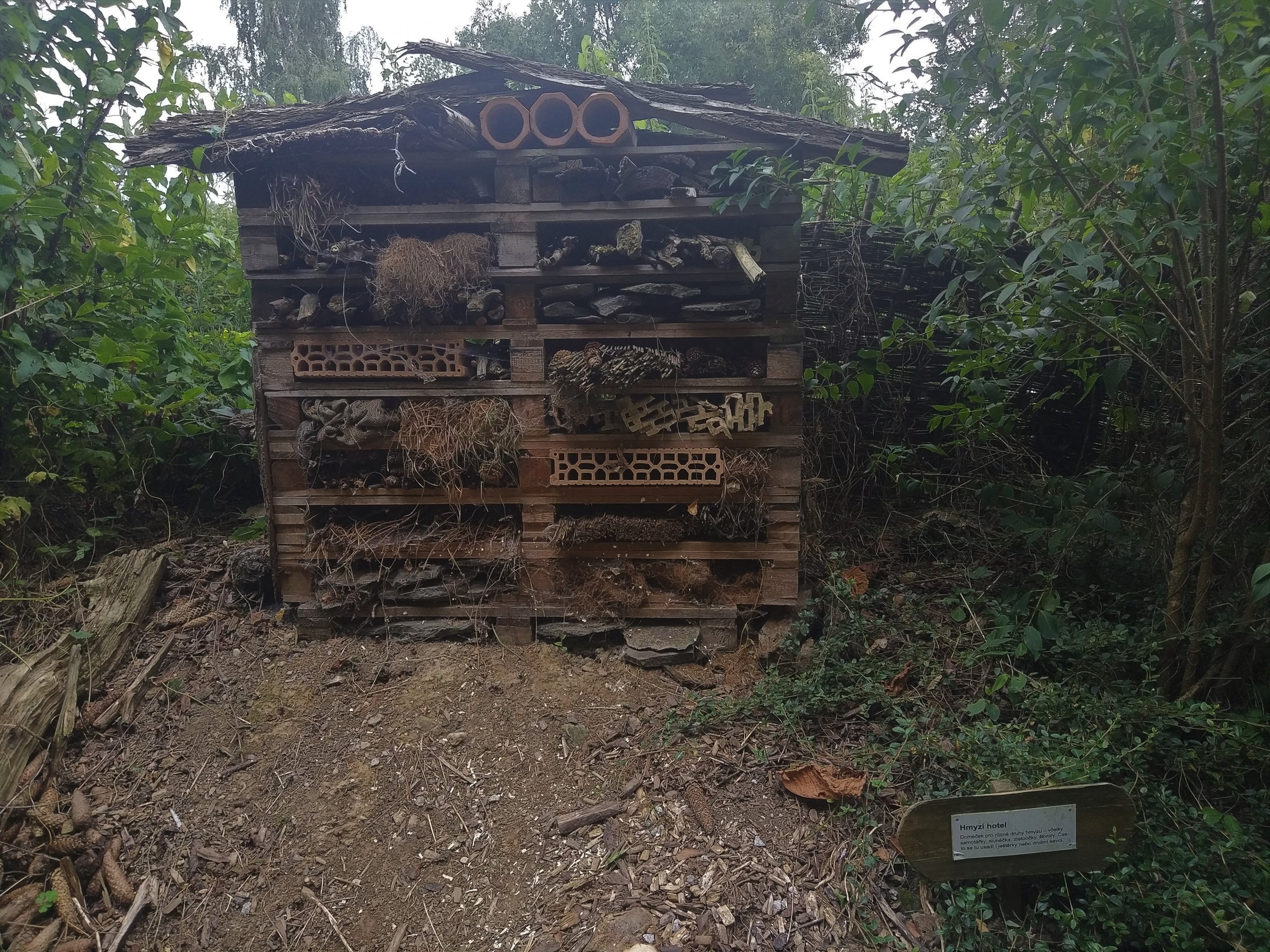 Bug Hotel