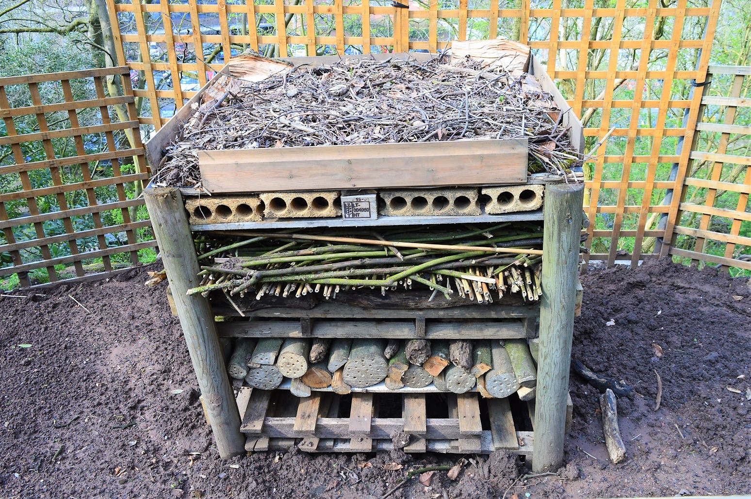 Bug hotel