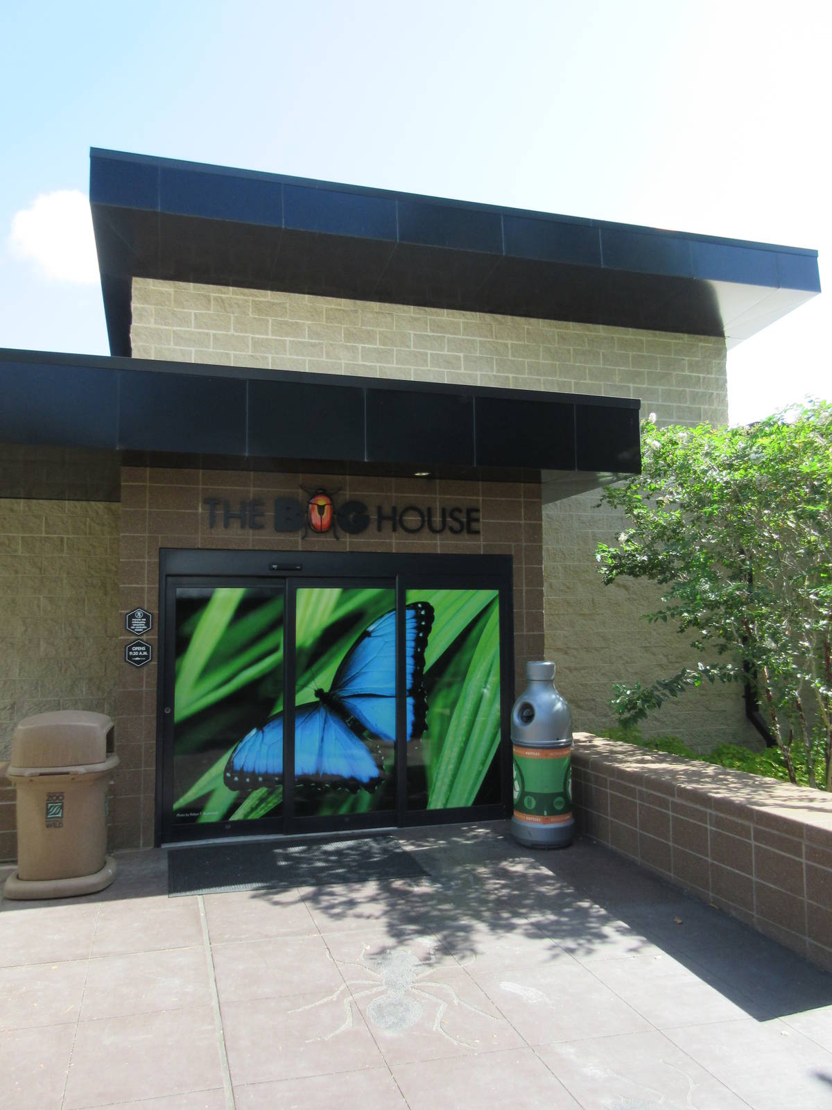 Bug House - Entrance #2