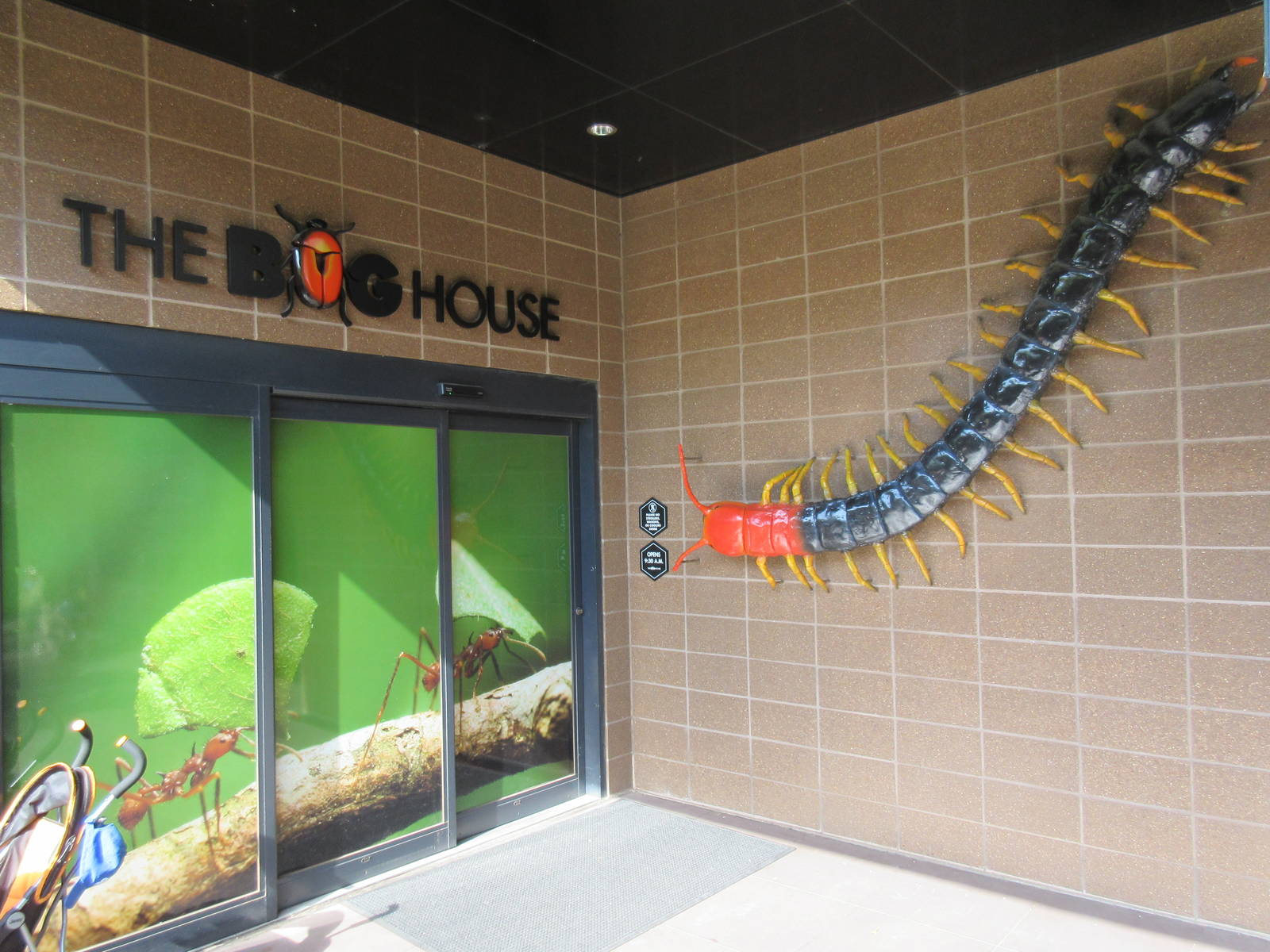 Bug House - Entrance