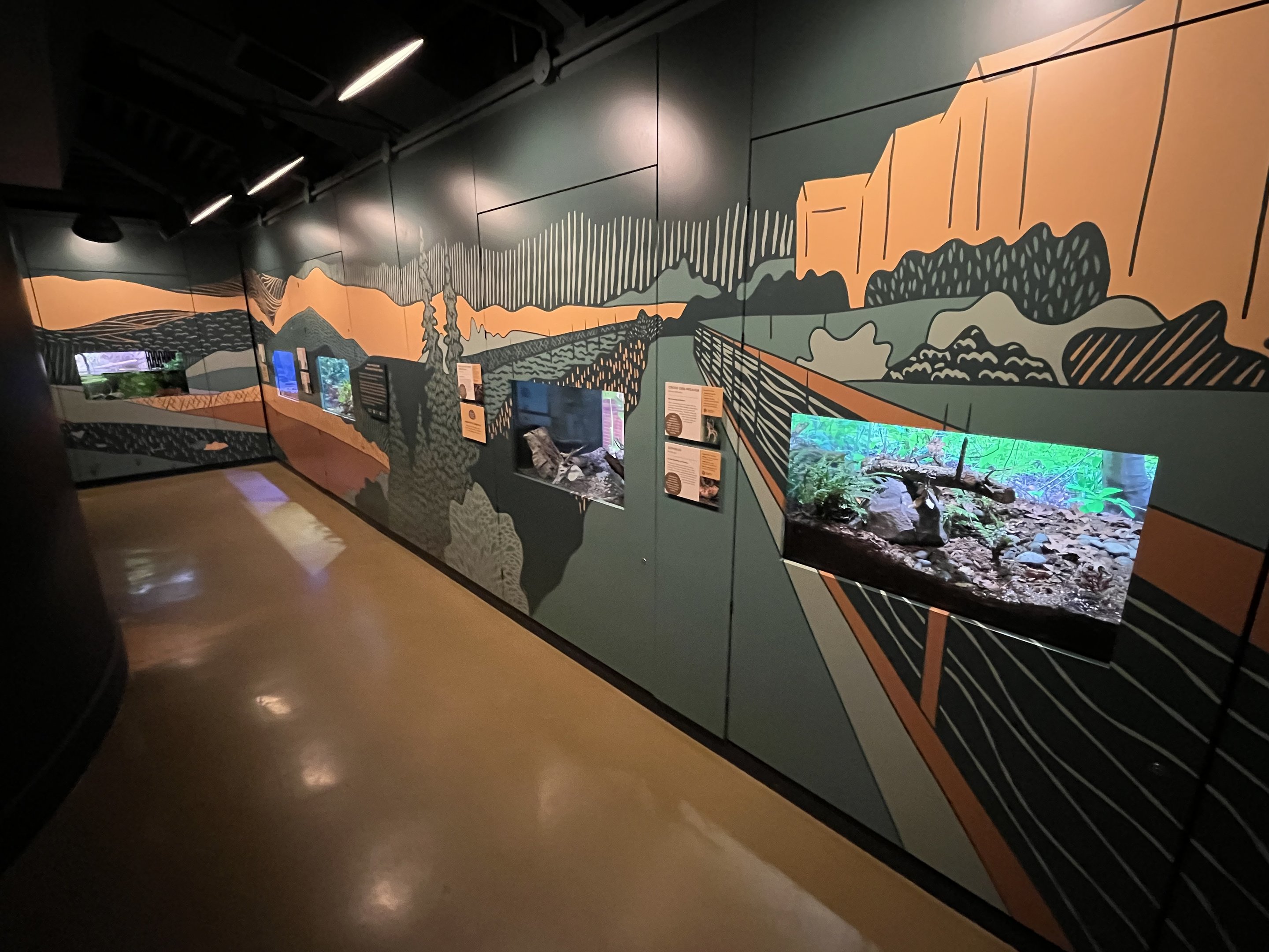 Bug World - New 2023 Graphics