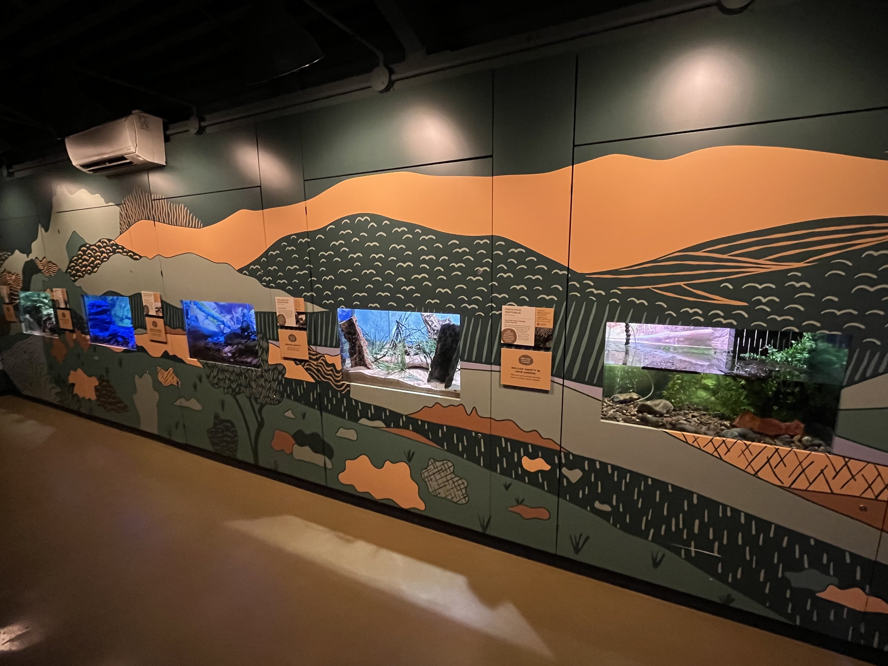 Bug World - New 2023 Graphics