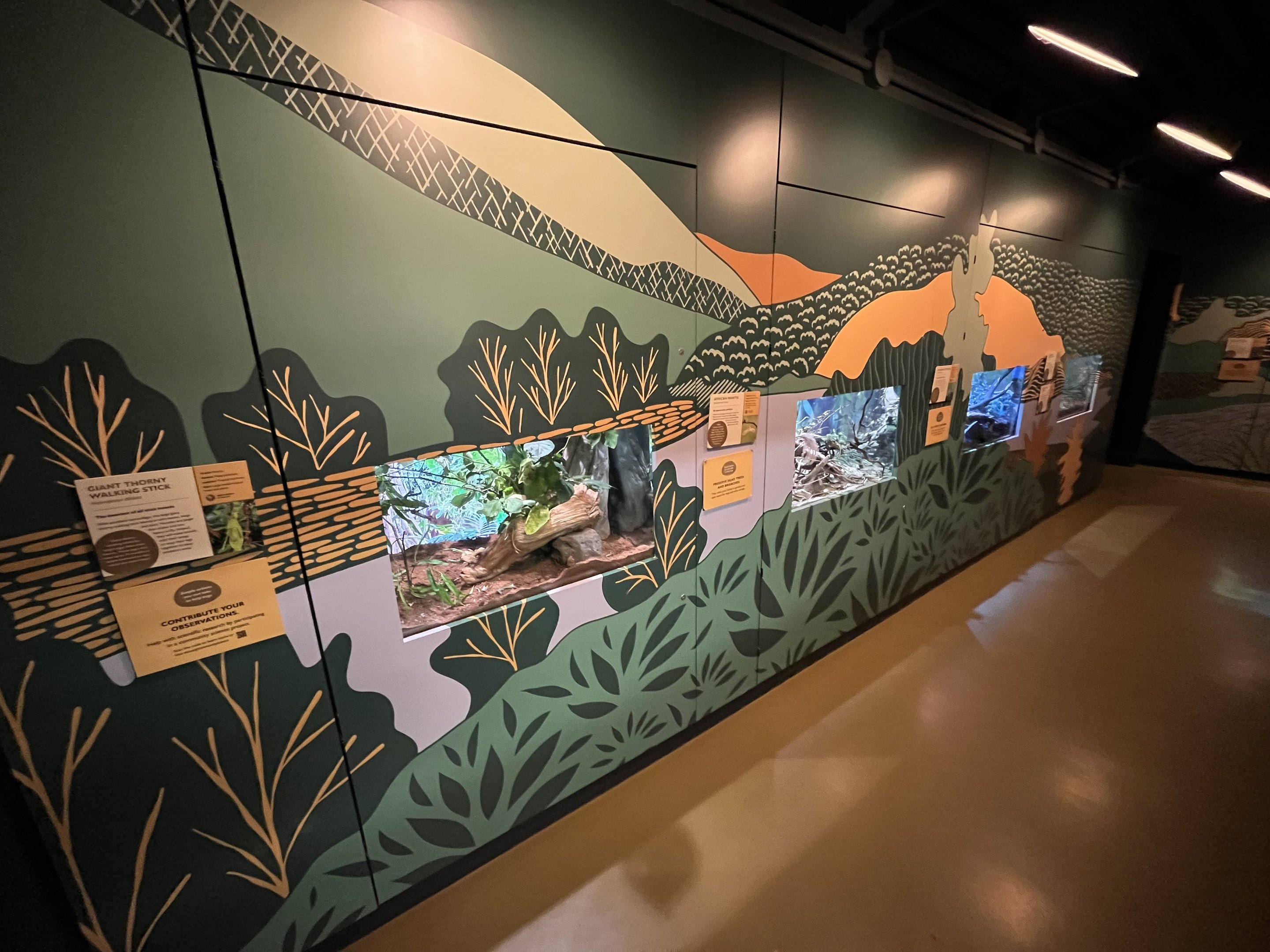 Bug World - New 2023 Graphics