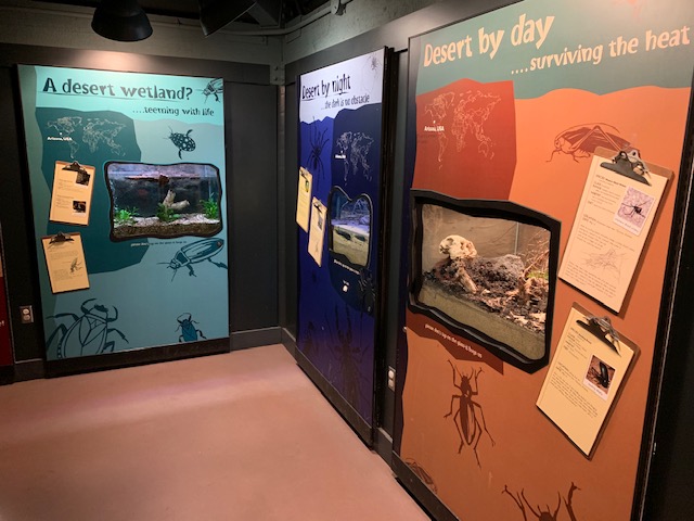 Bug World (small Insect House)