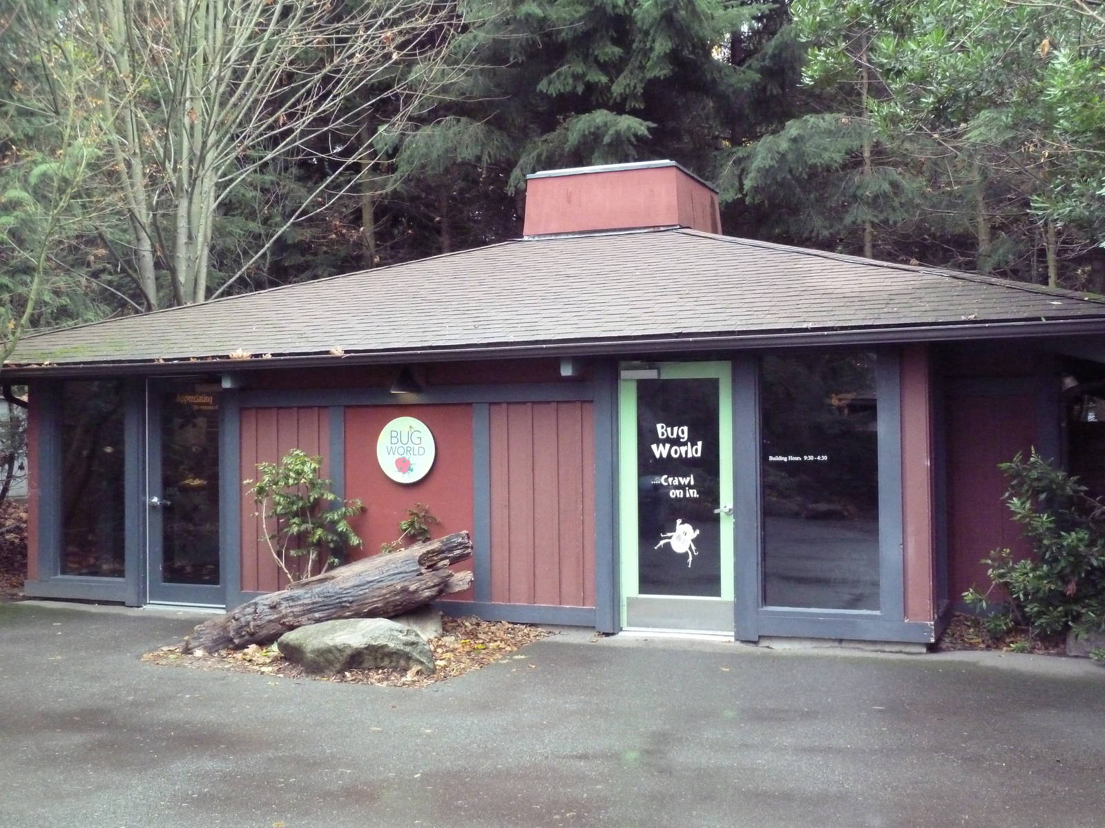 Bug World