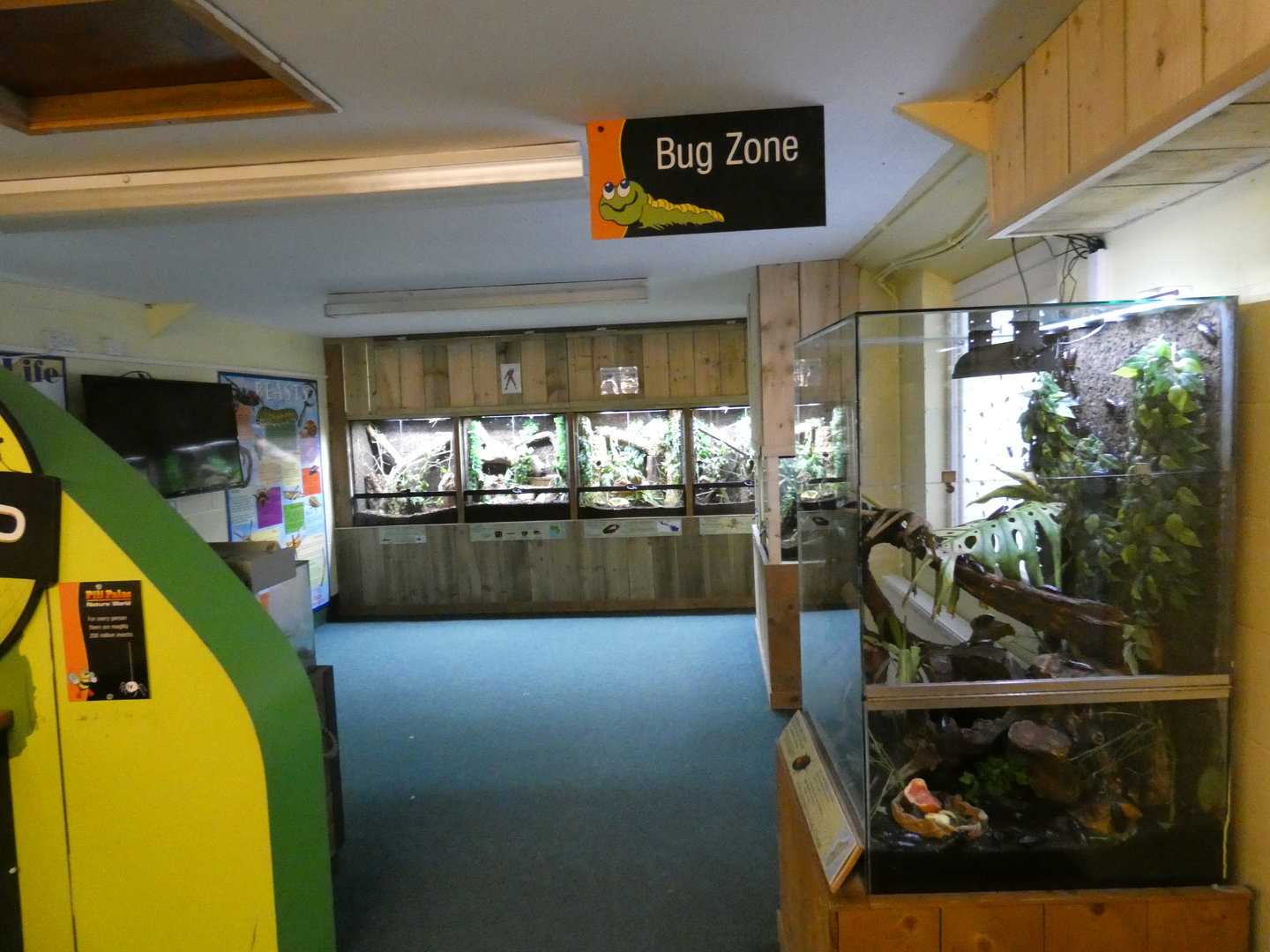 Bug Zone