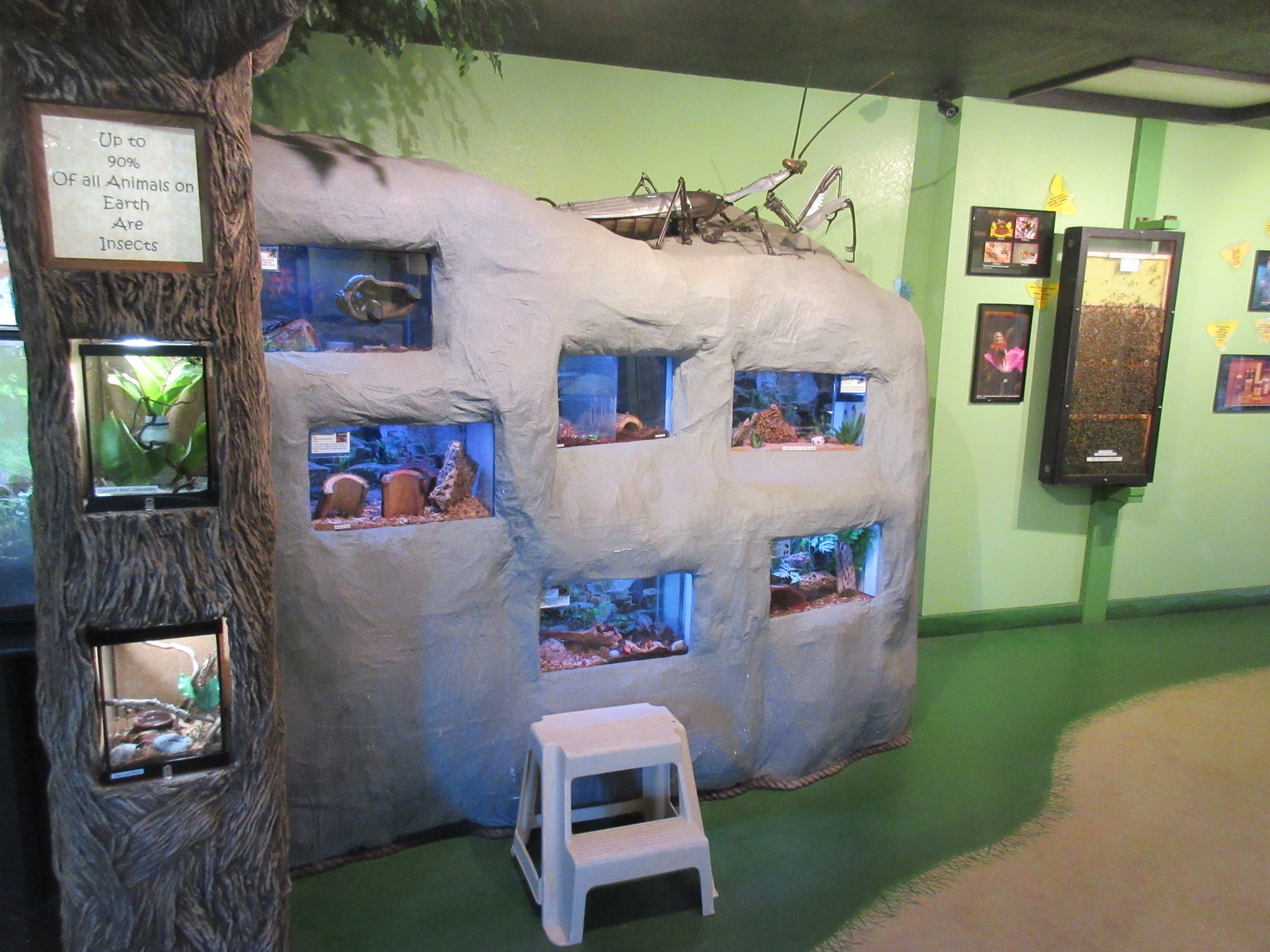 Bug Zoo (part of it)