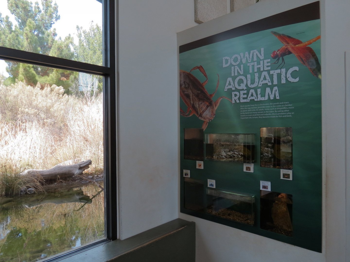 Bugarium - 6 Aquatic Exhibits