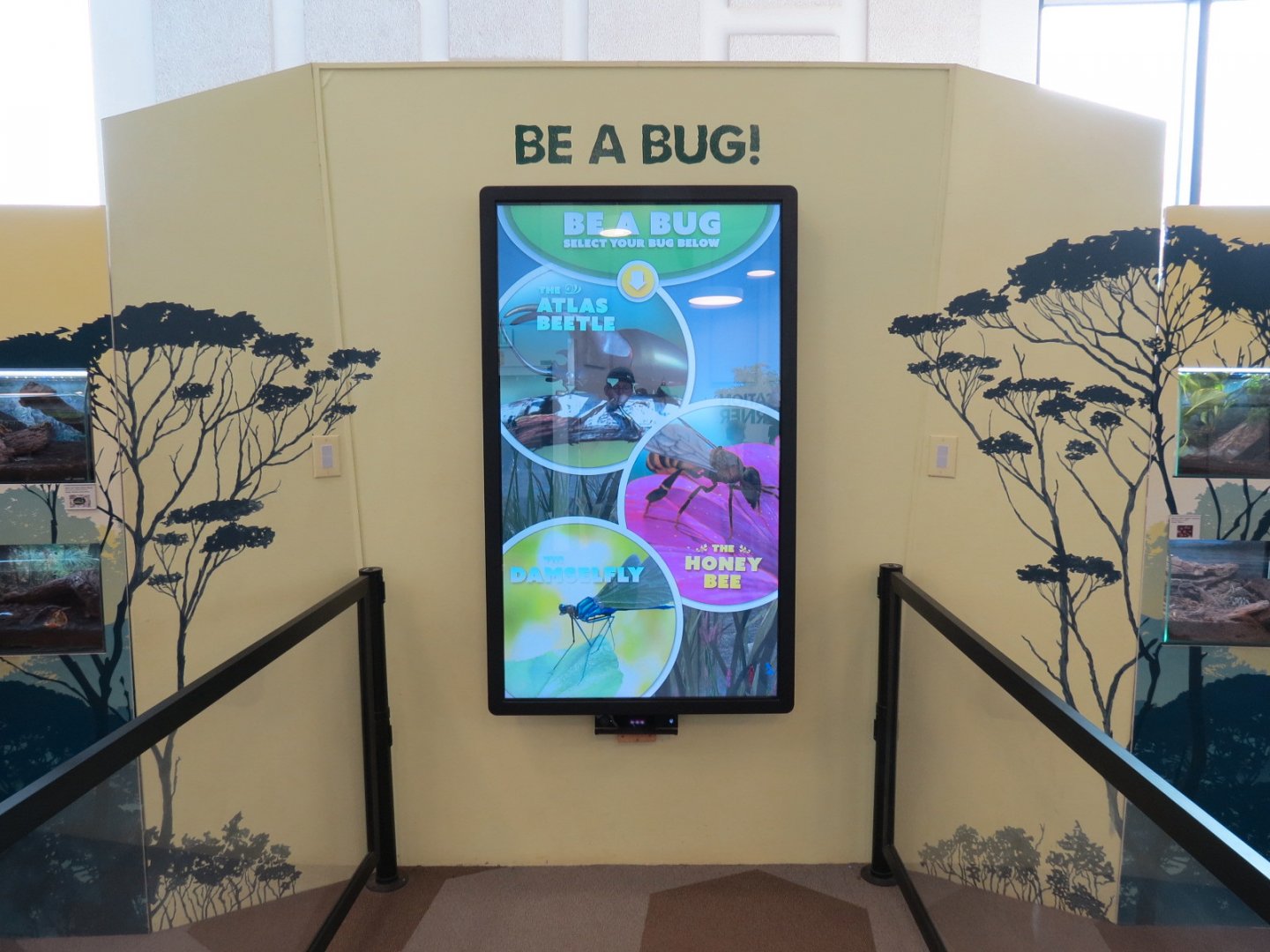 Bugarium - Be A Bug Interactive Screen