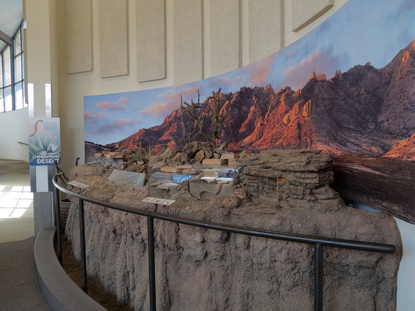 Bugarium - Chihuahuan Desert Exhibits Overview