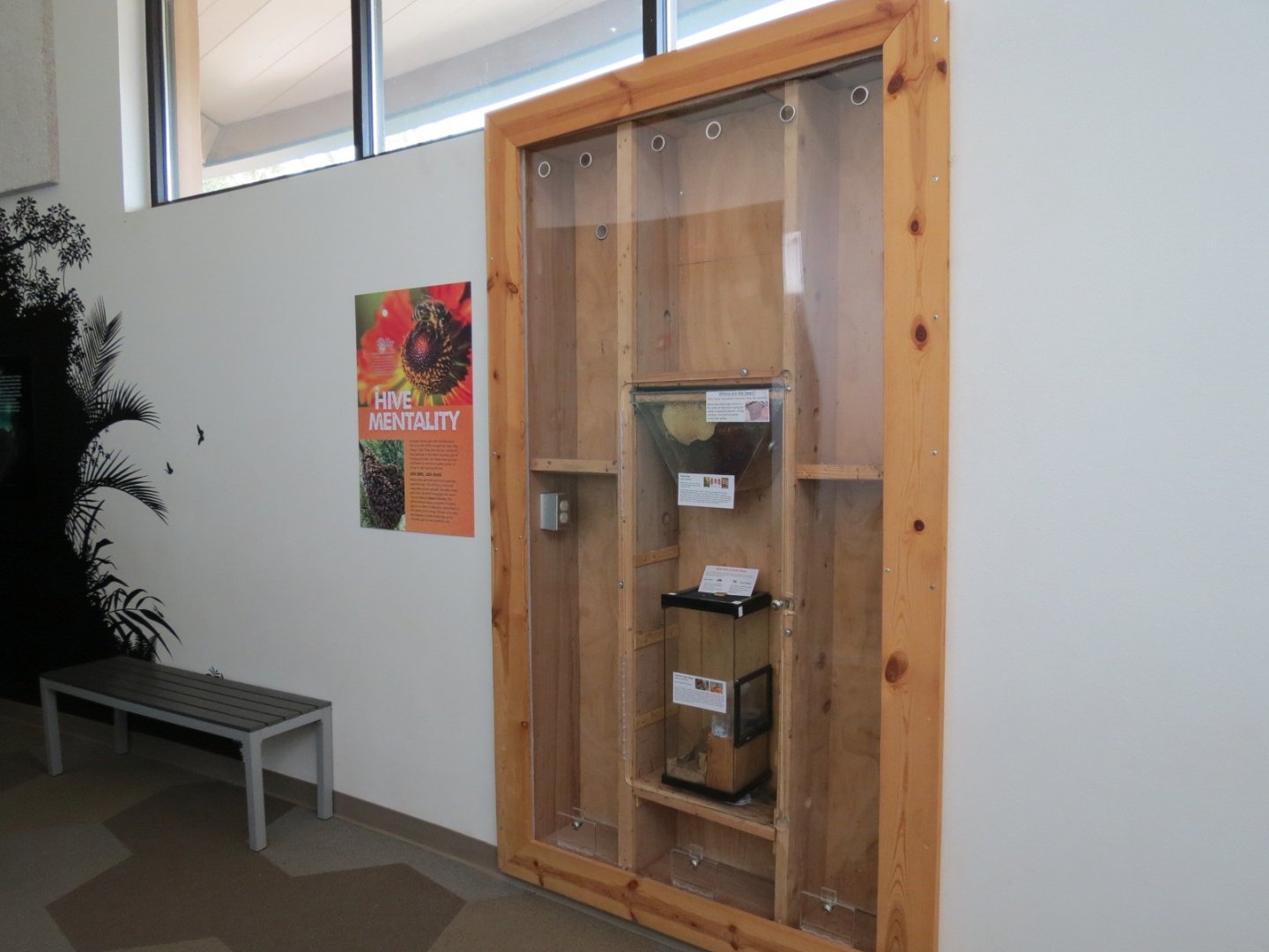 Bugarium - Honey Bee and Paper Wasp Exhibits