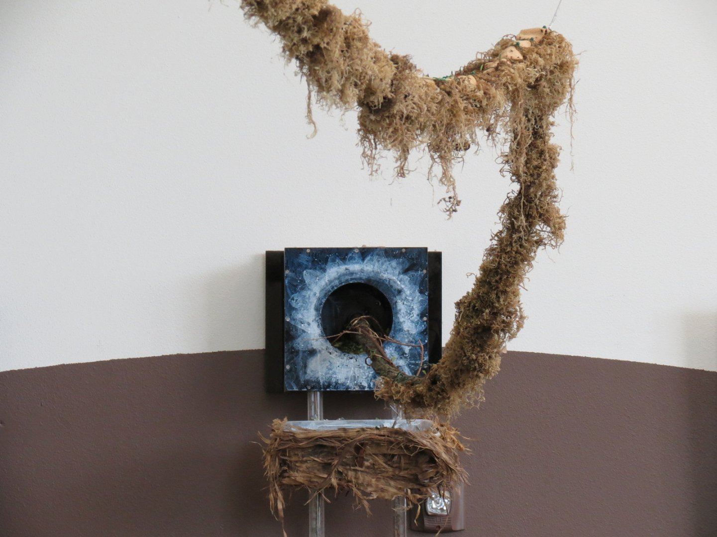 Bugarium - Leaf Cutter Ant Exhibit Connecting Vine