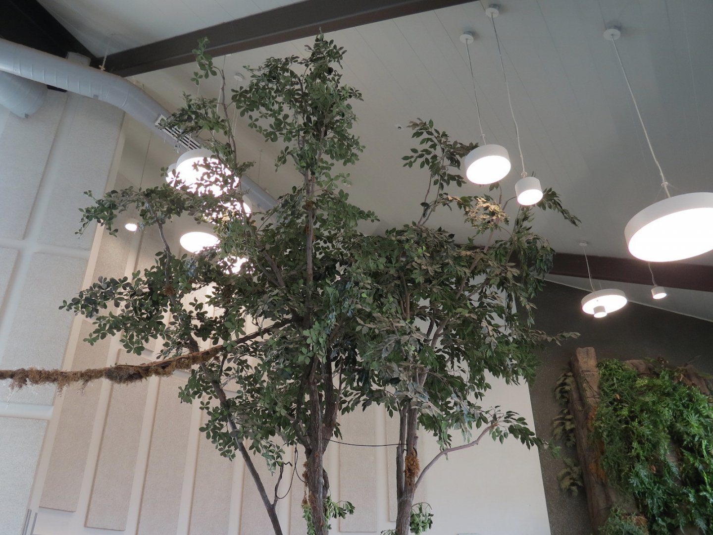 Bugarium - Leaf Cutter Ant Exhibit Tree