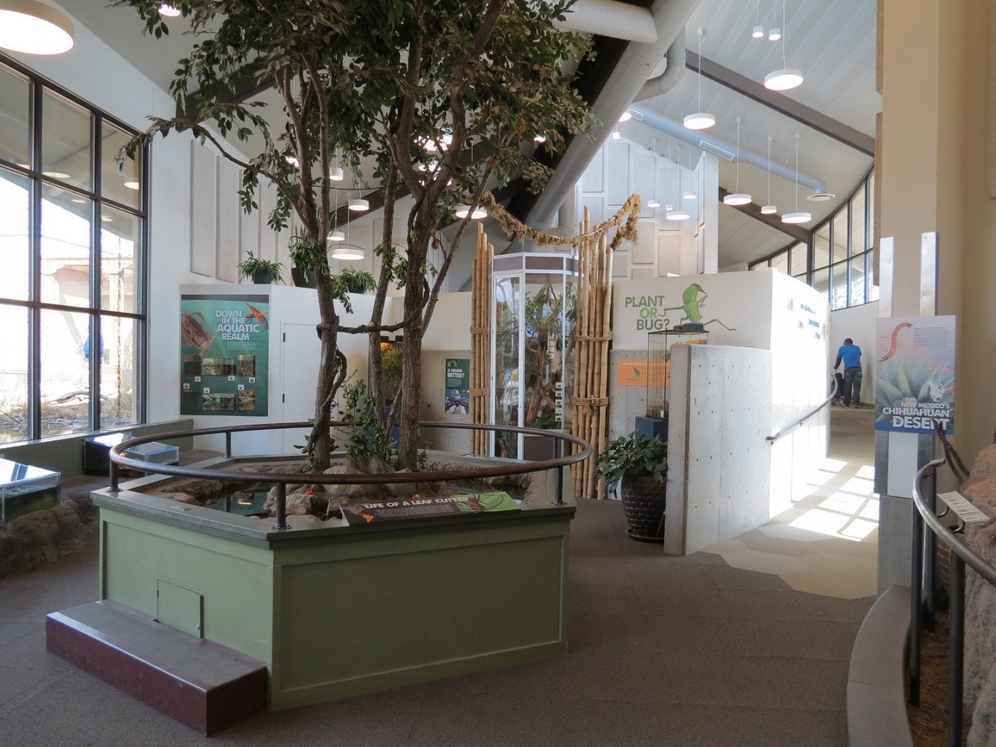 Bugarium - Leaf Cutter Ant Exhibit Tree