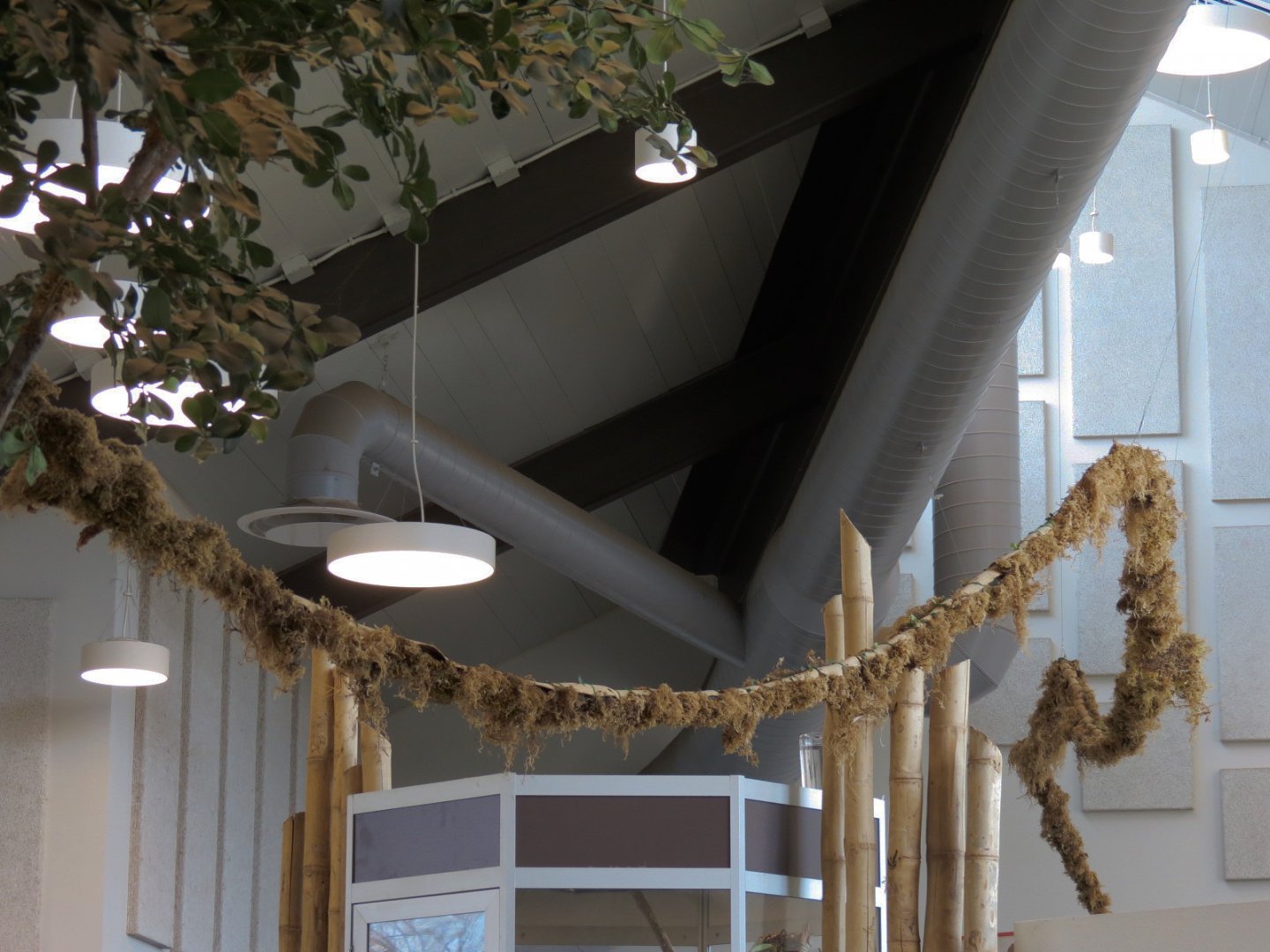 Bugarium - Leaf Cutter Ant Exhibit Tree