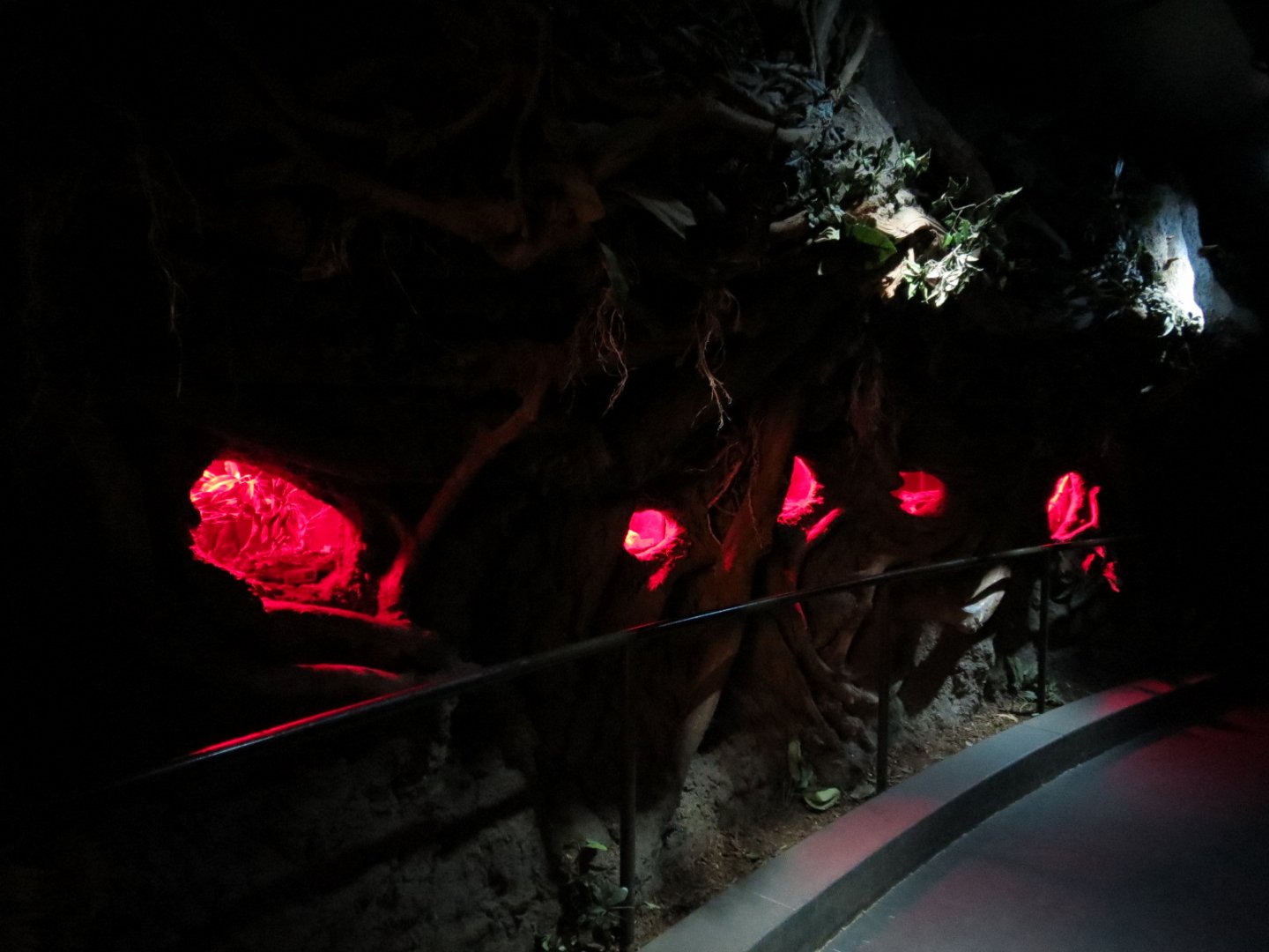 Bugarium - Night In The Jungle - 5 Exhibits