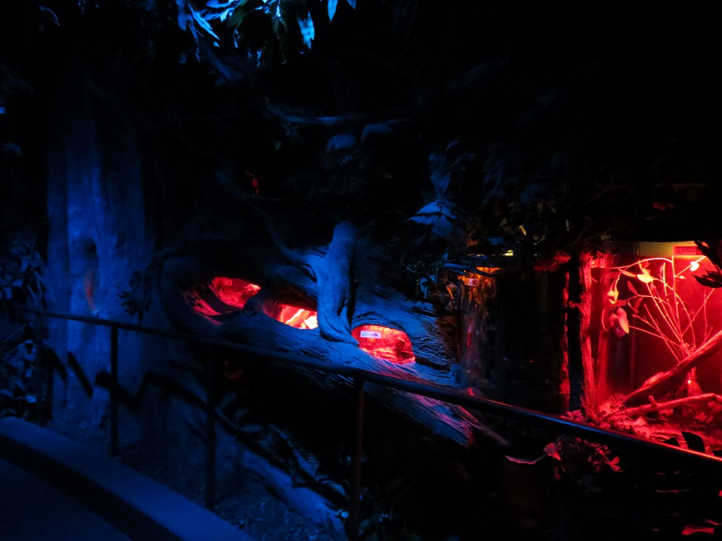 Bugarium - Night In The Jungle - 7 Exhibits