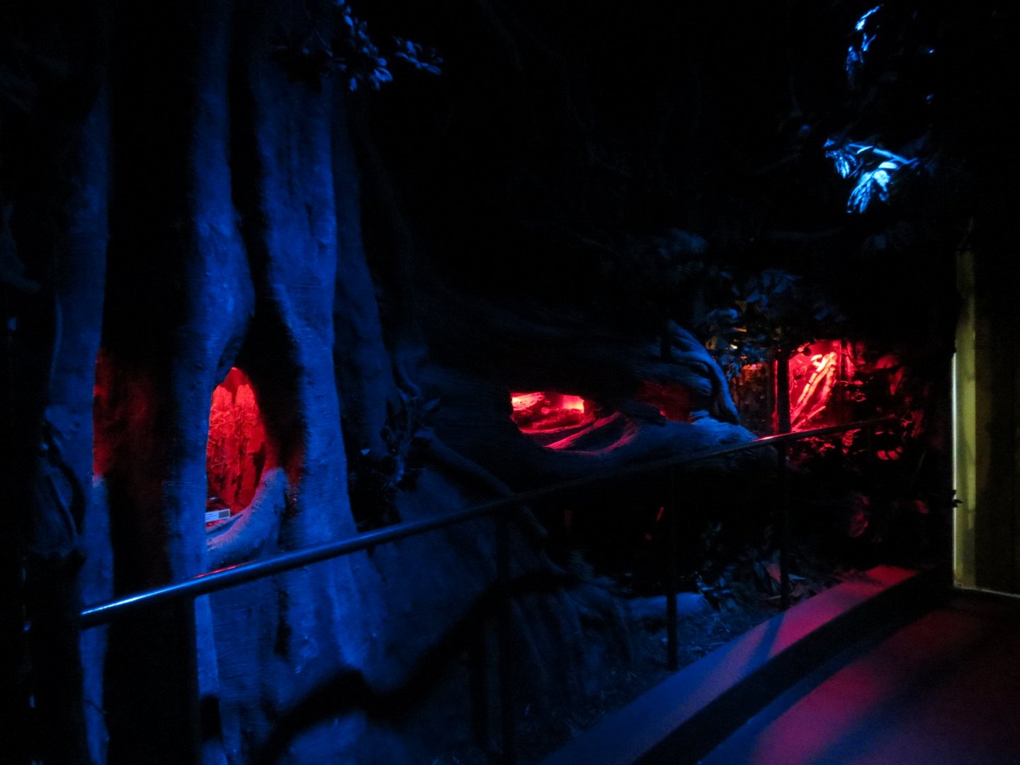 Bugarium - Night In The Jungle - 7 Exhibits