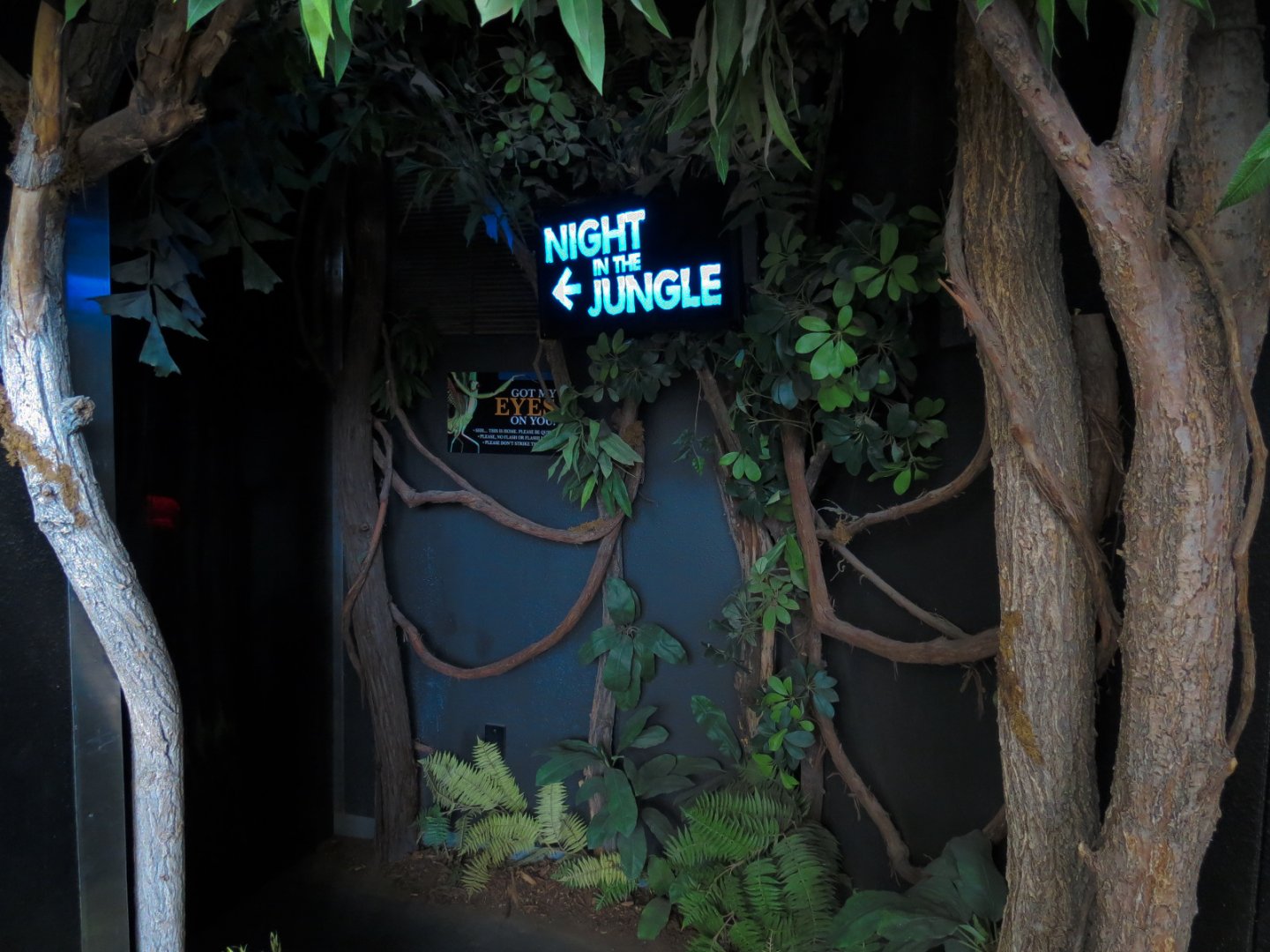Bugarium - Night In The Jungle Entrance
