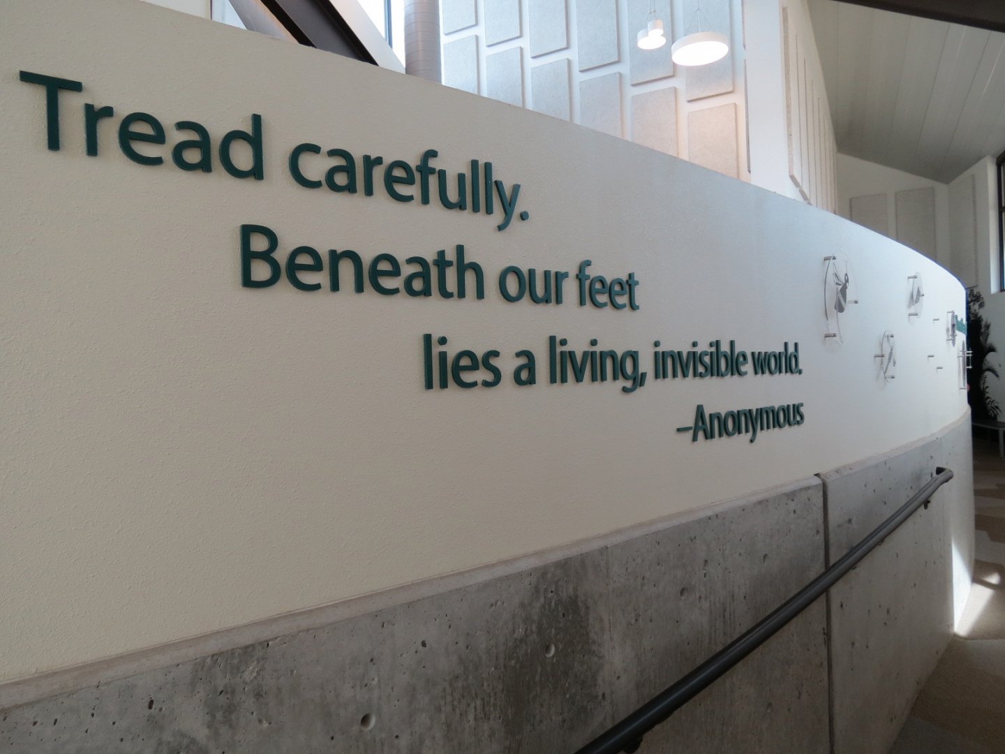 Bugarium - Ramp Between Lower and Upper Levels