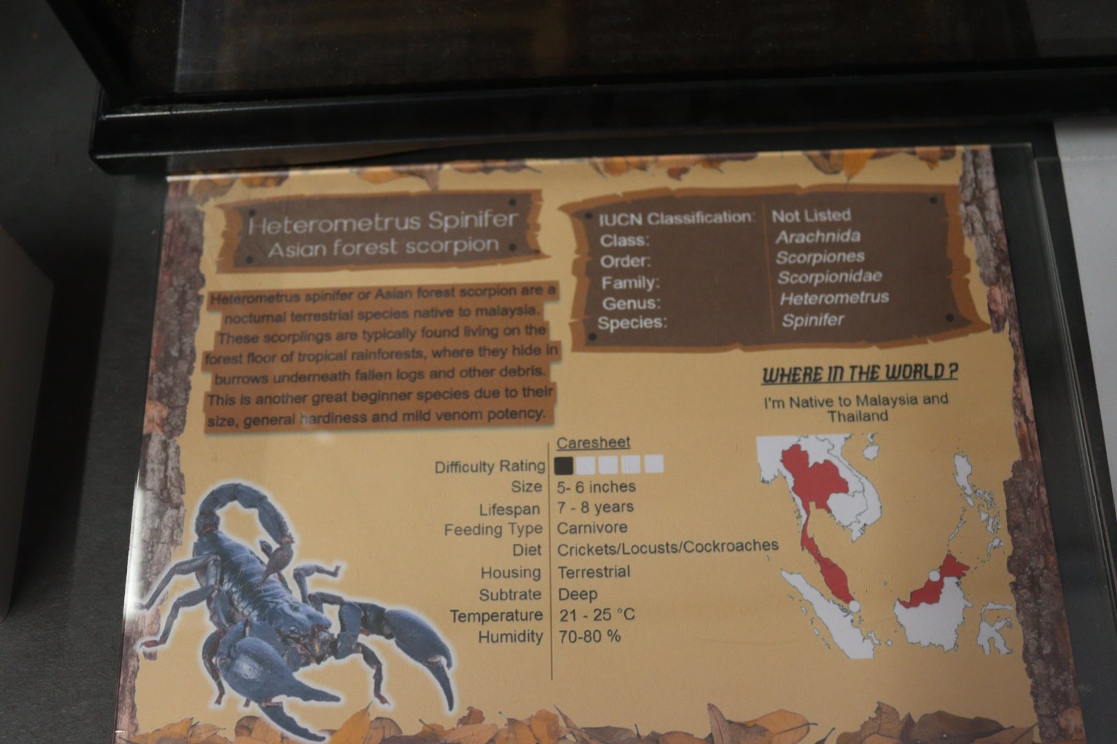 BugParc Signage Example, 08/2024