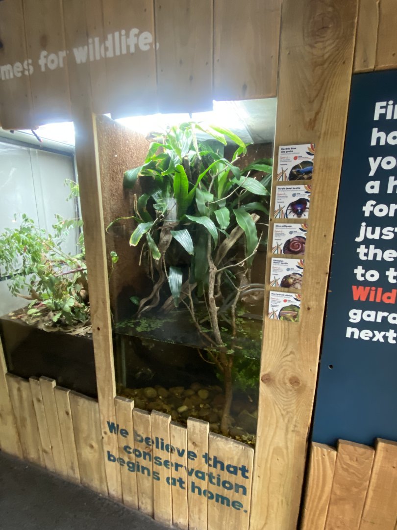 Bugs at Home exhibit 130624