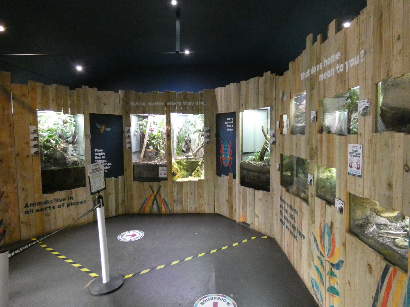 Bugs at Home exhibit