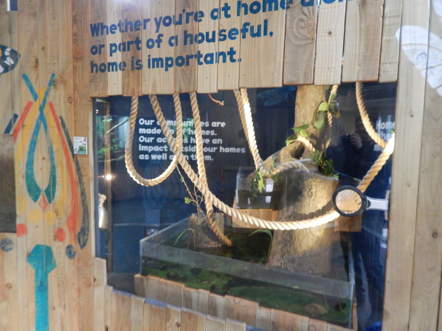 Bugs at Home - Leafcutter ants display 050224